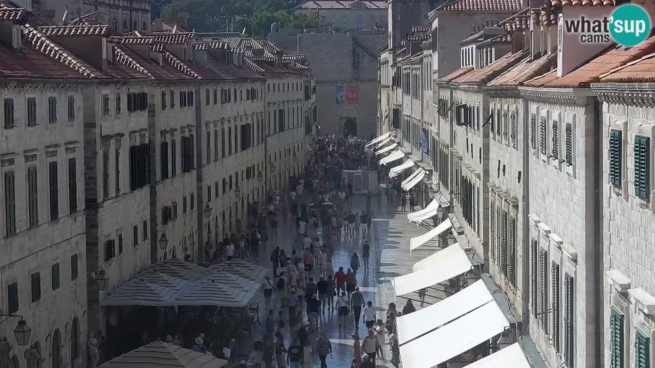 Livecam Dubrovnik Stradun