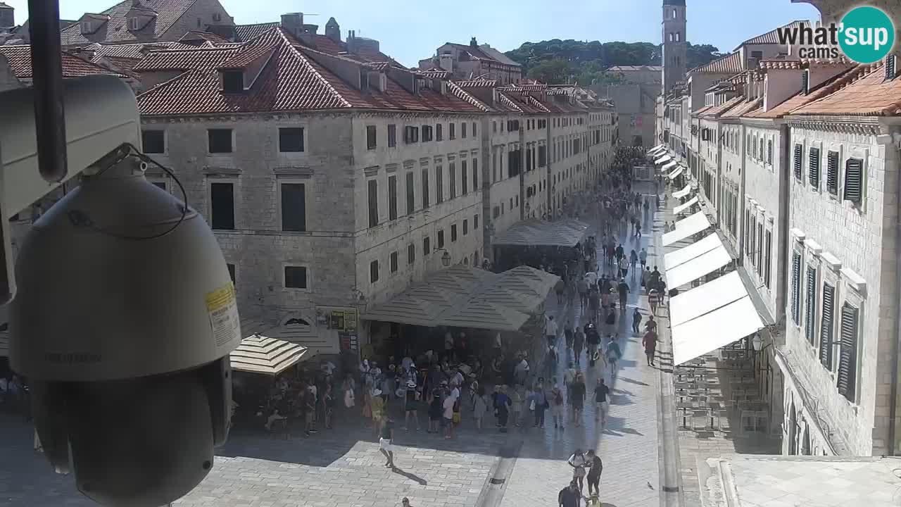 Kamera v živo Dubrovnik Stradun / Placa