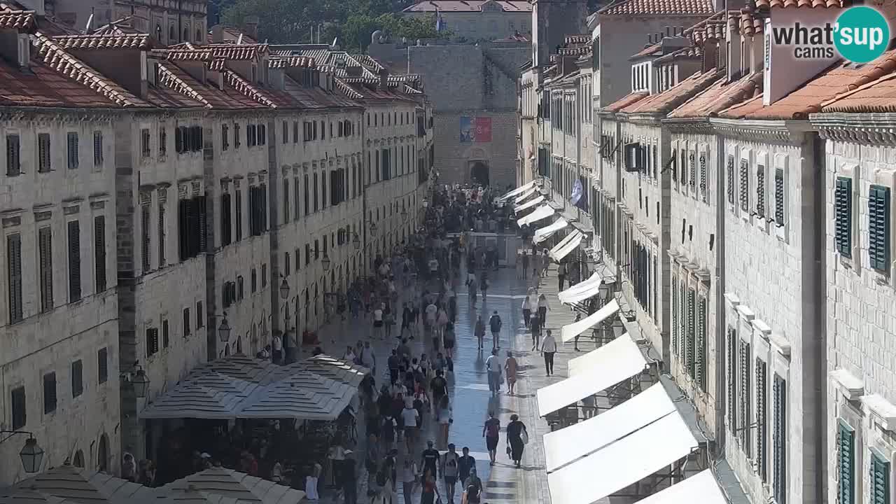 Kamera v živo Dubrovnik Stradun / Placa