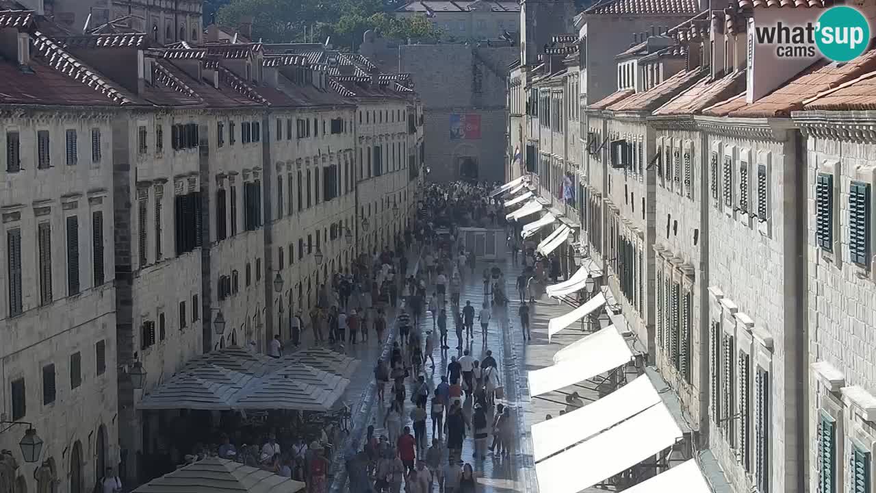 Livecam Dubrovnik Stradun