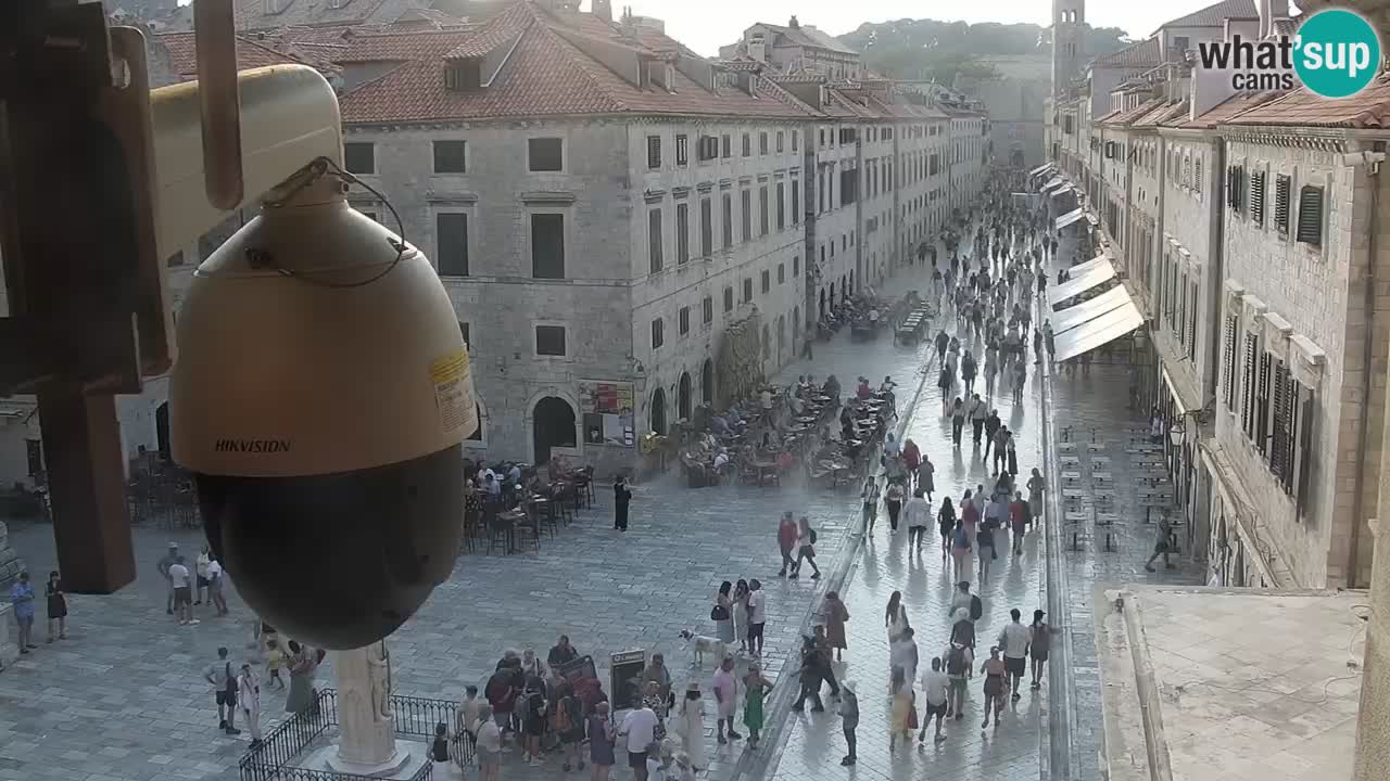 Live Webcam Dubrovnik Stradun
