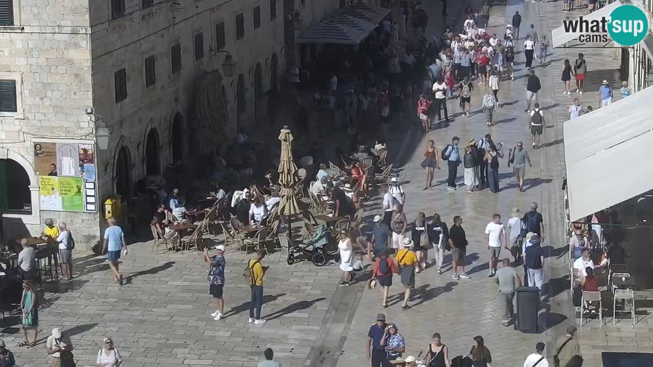 Camera en vivo Dubrovnik Stradun