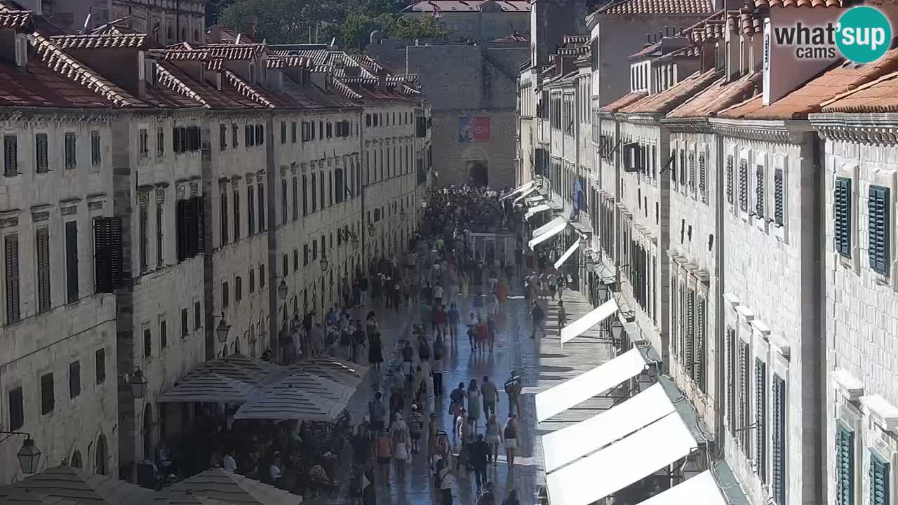 Livecam Dubrovnik Stradun