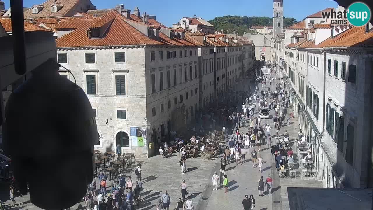 Live Webcam Dubrovnik Stradun