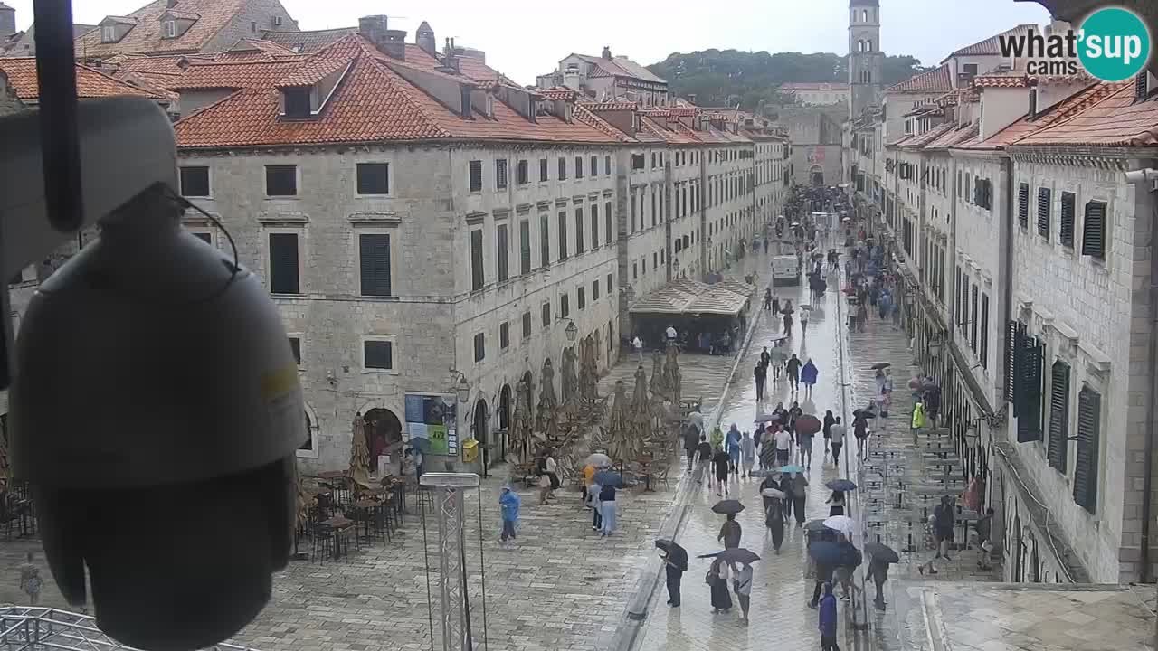 Livecam Dubrovnik Stradun