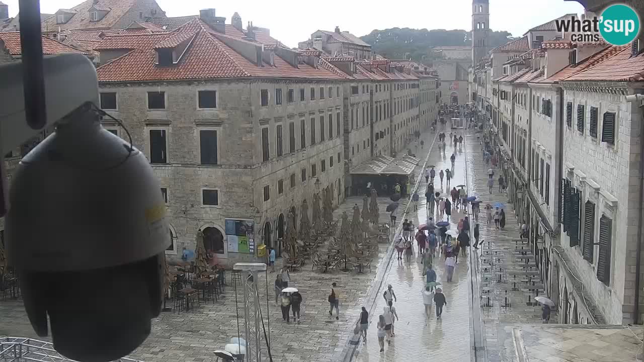 Live Webcam Dubrovnik Stradun