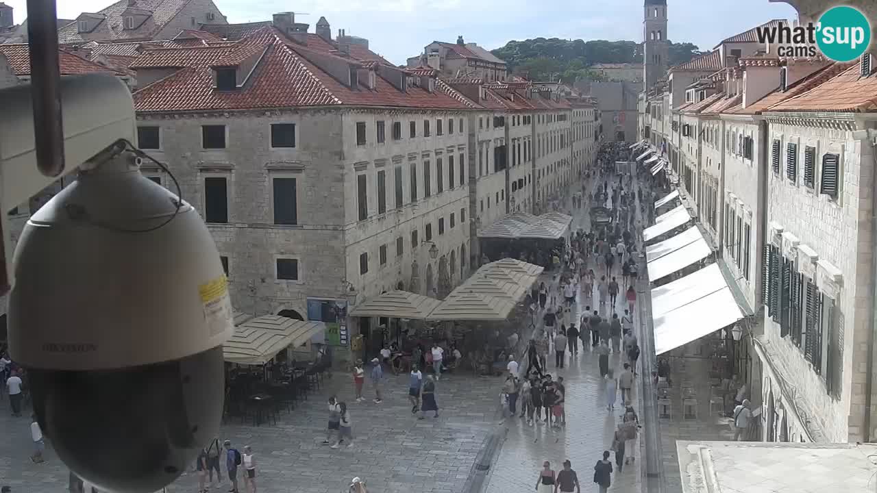 Webcam Ragusa (Dubrovnik) Stradun