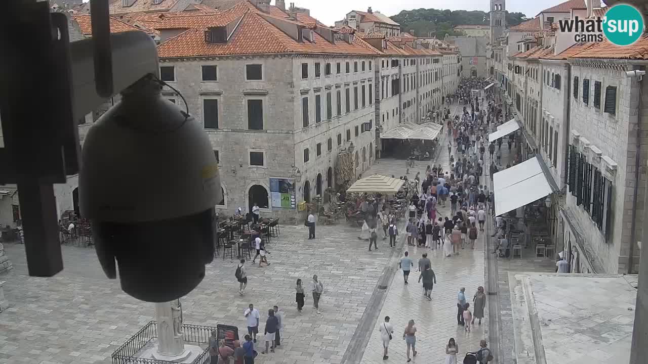 Livecam Dubrovnik Stradun