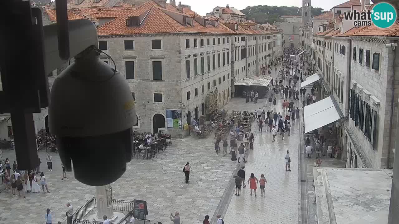 Live Webcam Dubrovnik Stradun