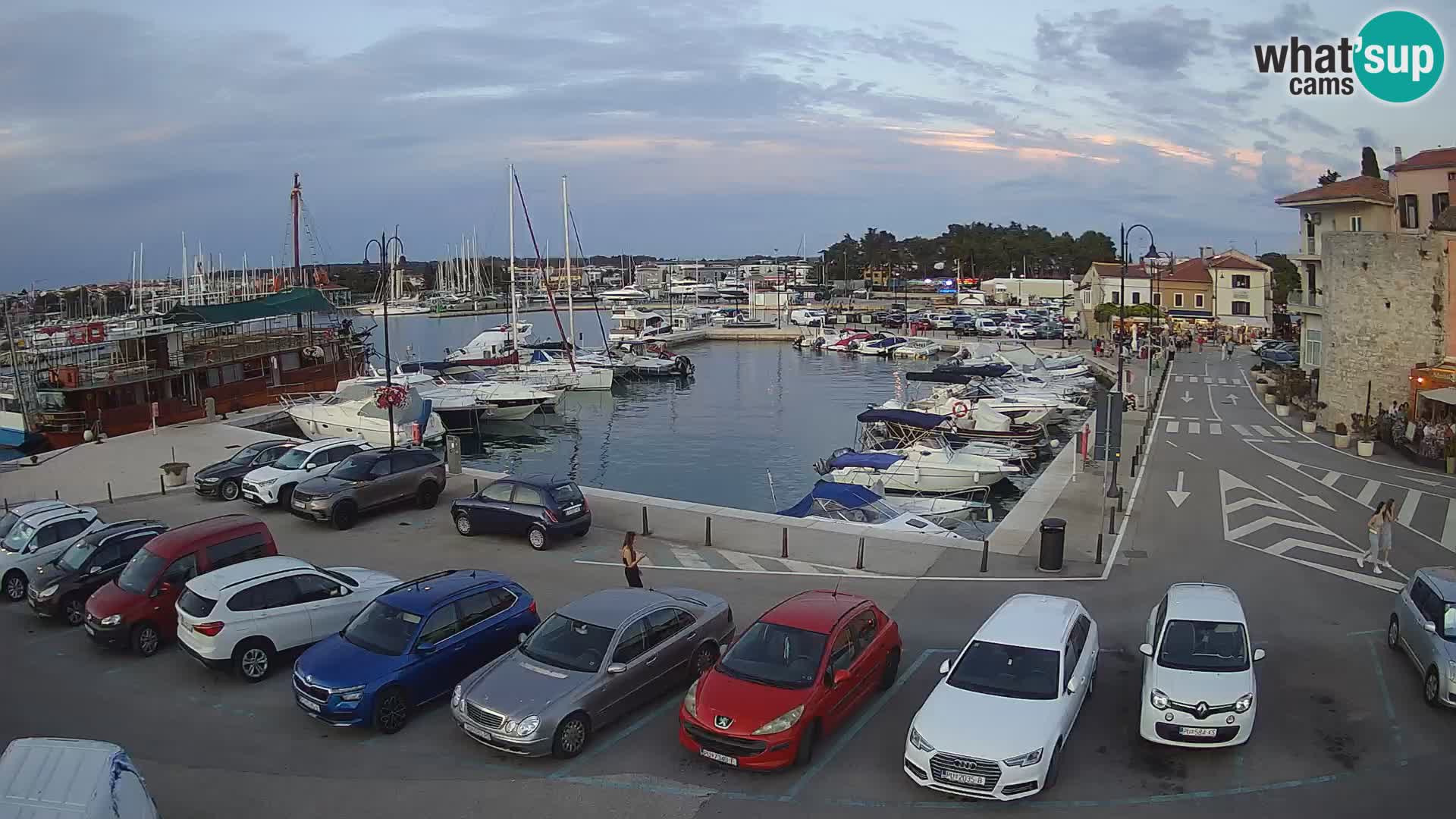 Novigrad | Porporela marina
