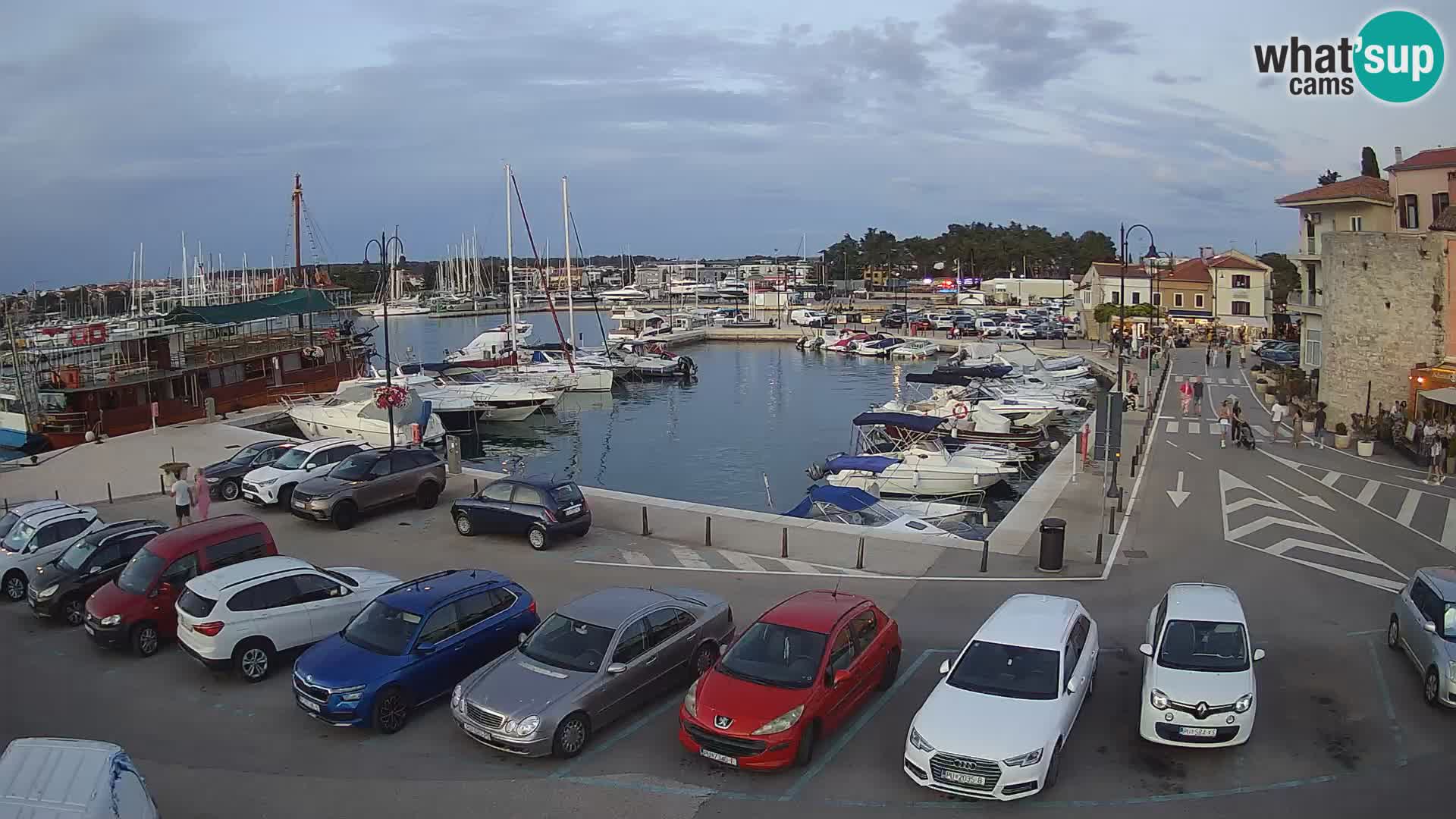 Novigrad | Porporela marina