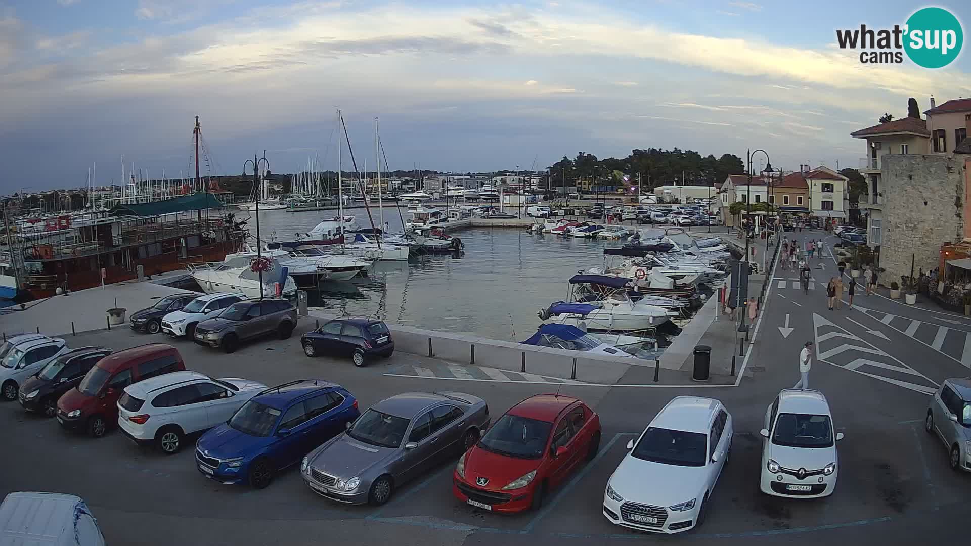 Novigrad | Porporela marina