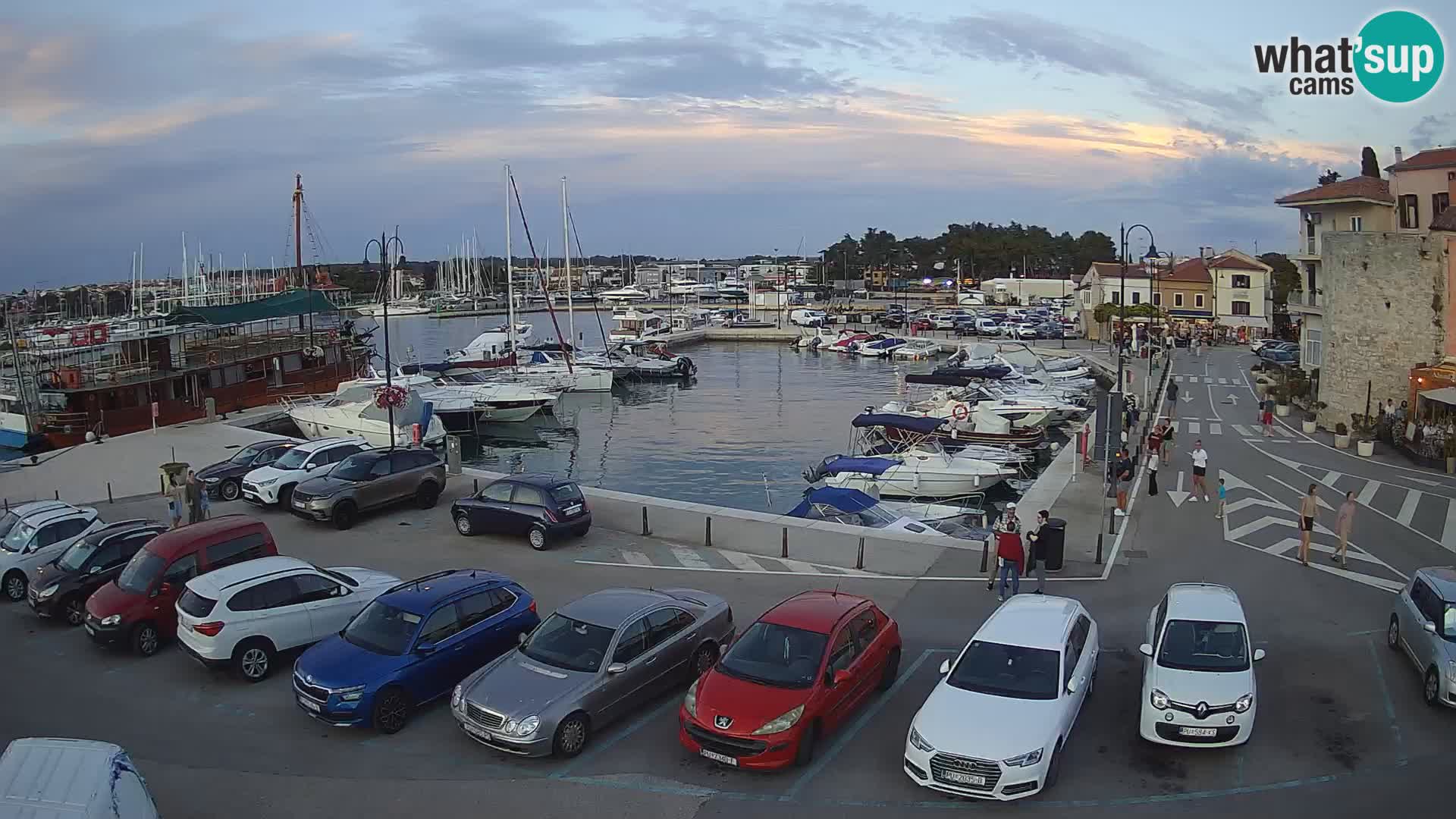 Novigrad | Porporela marina
