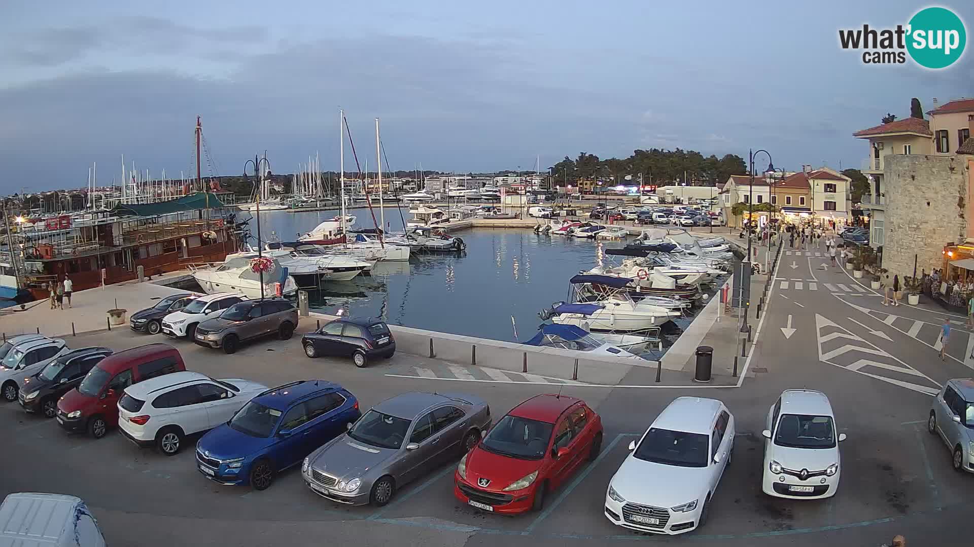 Novigrad | Porporela marina