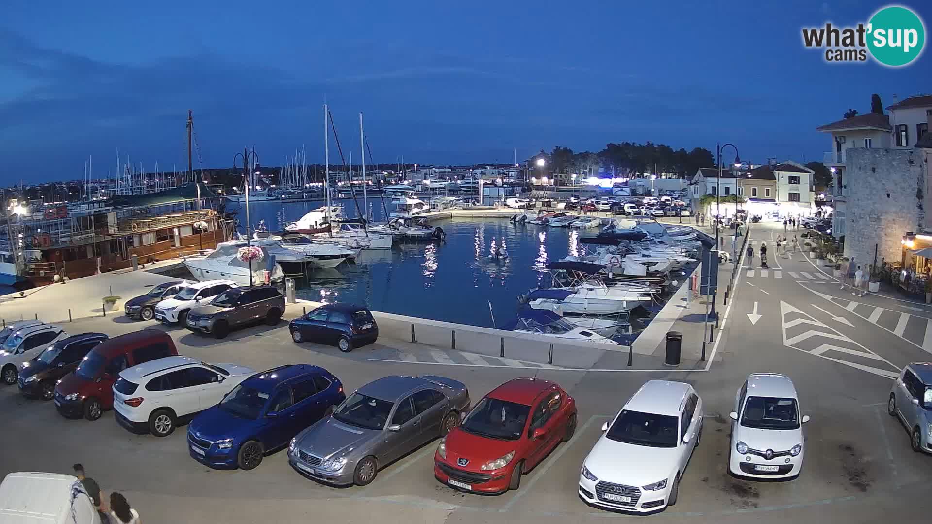 Novigrad | Porporela marina