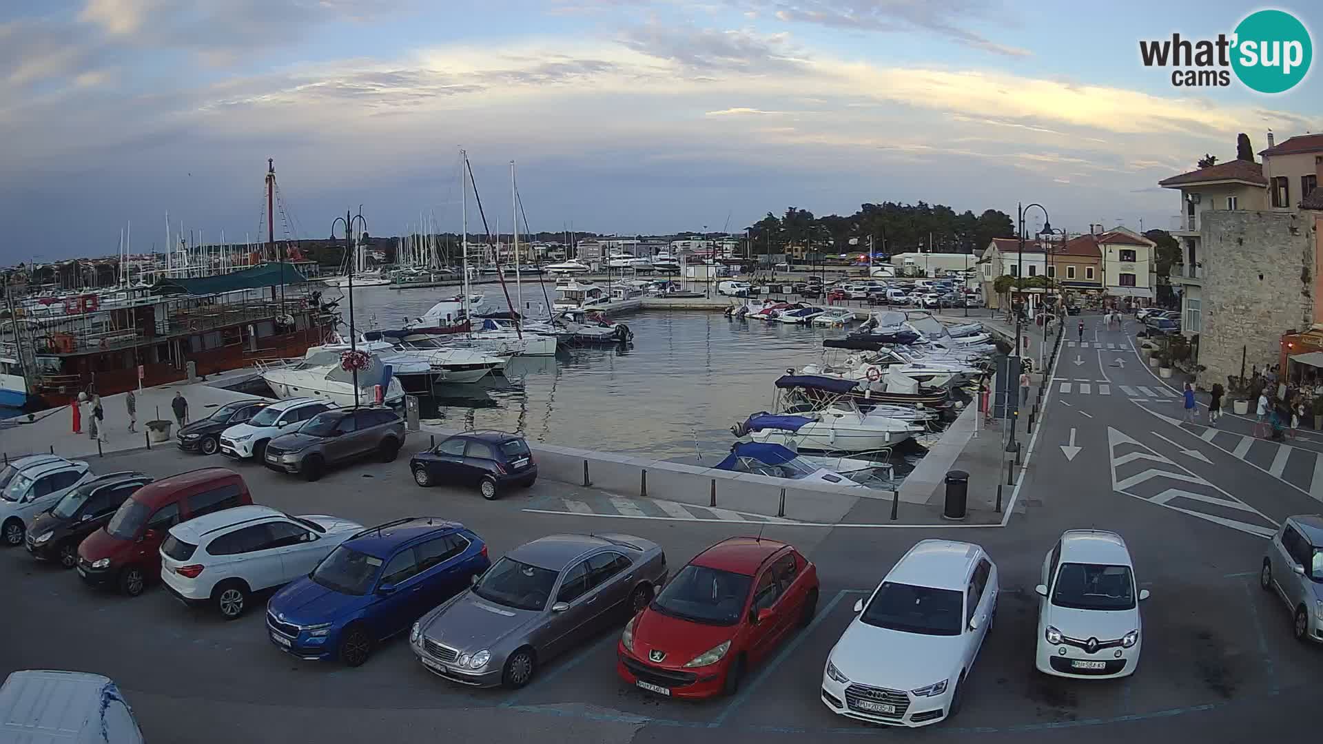 Novigrad | Porporela marina