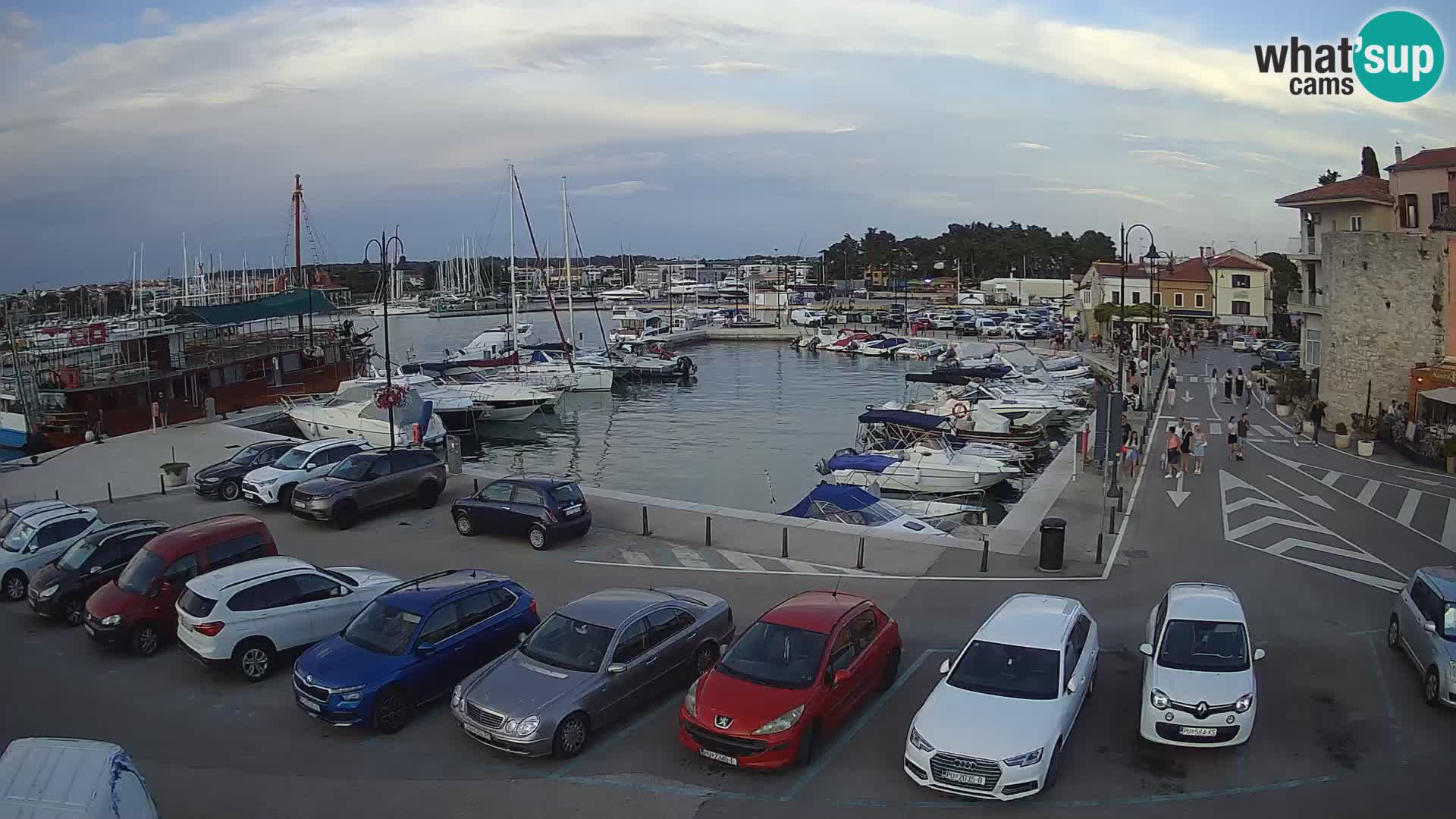 Novigrad | Porporela marina