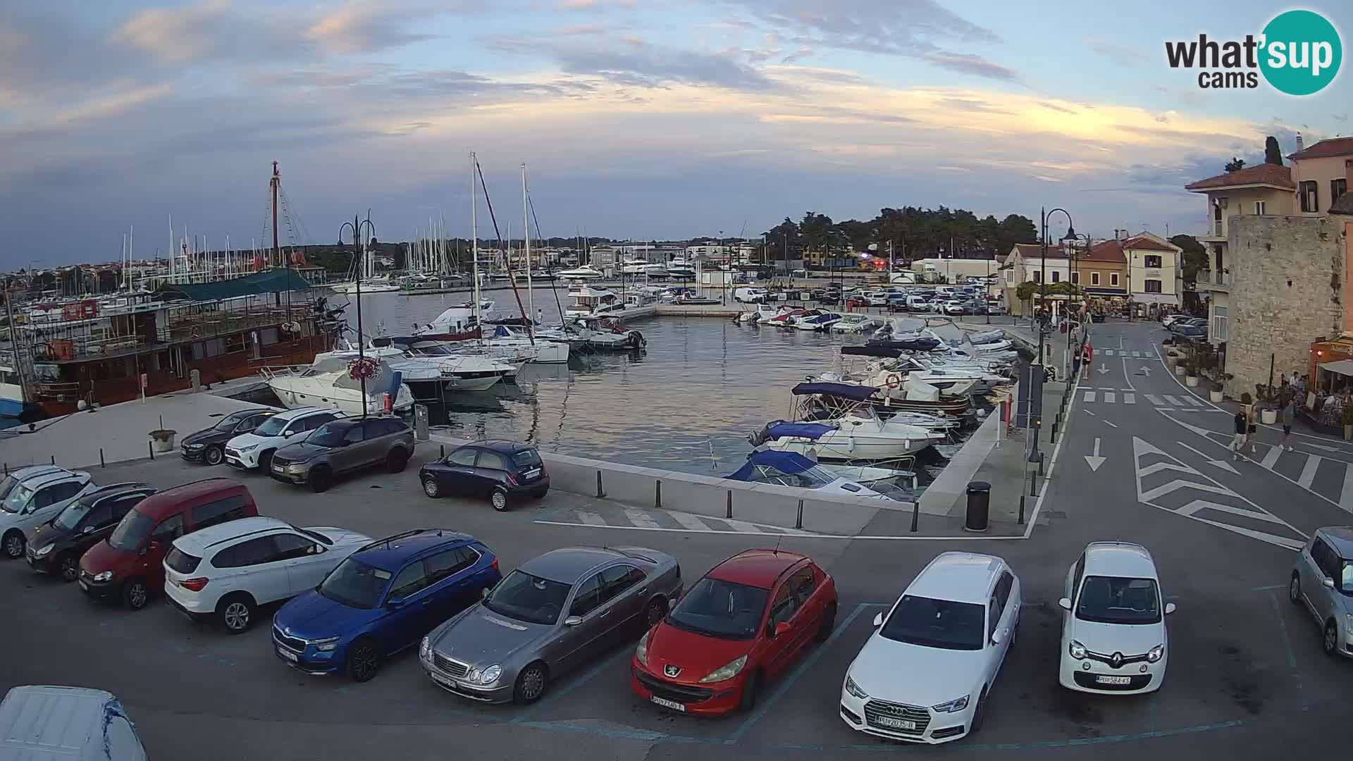 Novigrad | Porporela marina