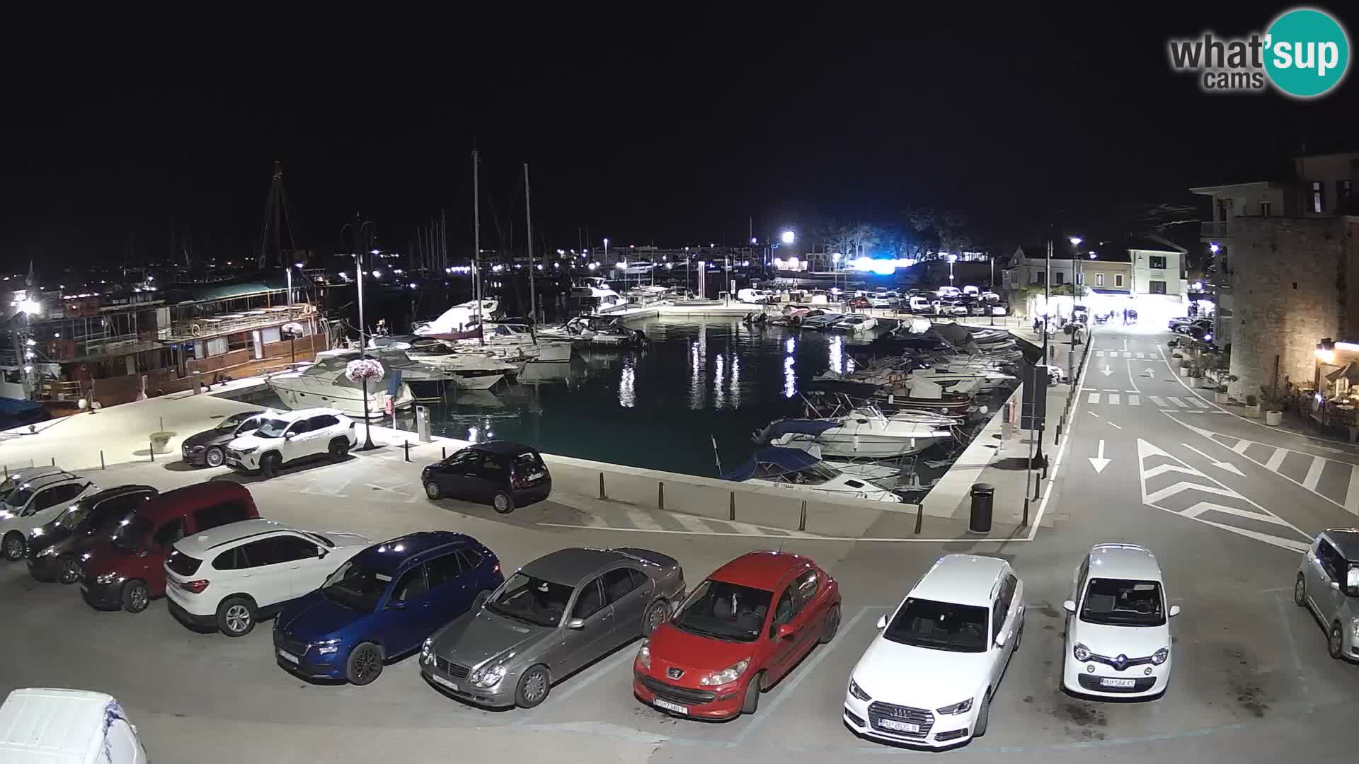 Novigrad | Porporela marina
