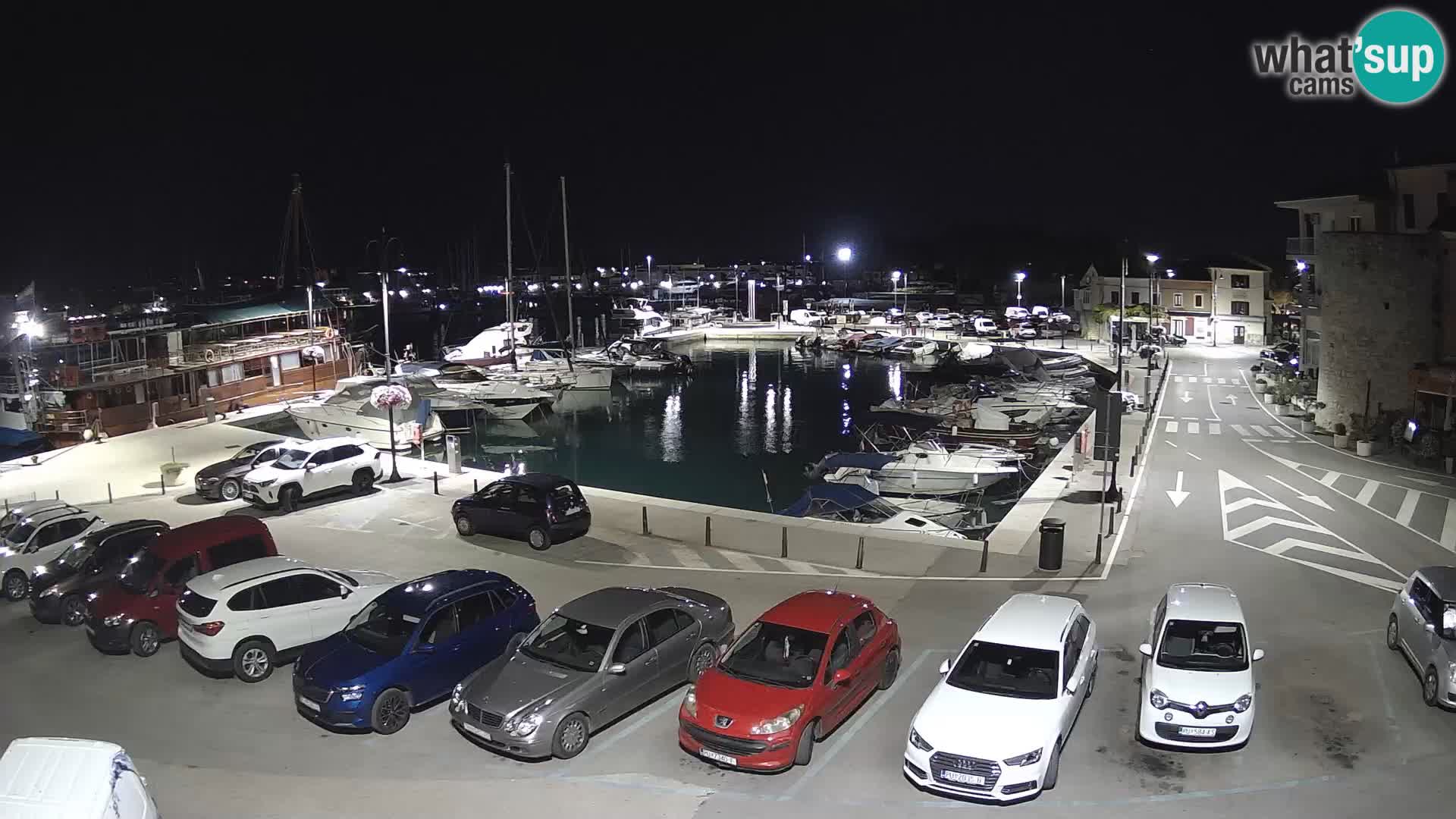 Novigrad | Porporela marina