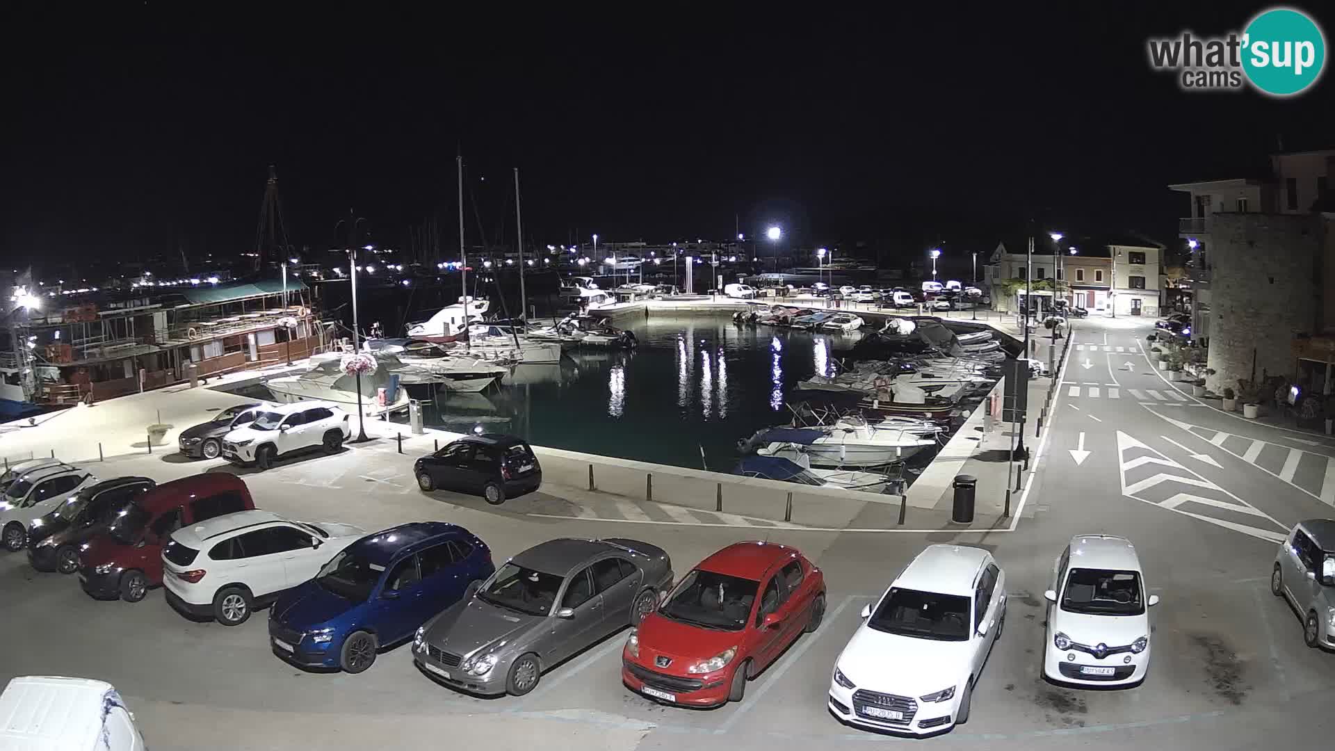 Novigrad | Porporela marina