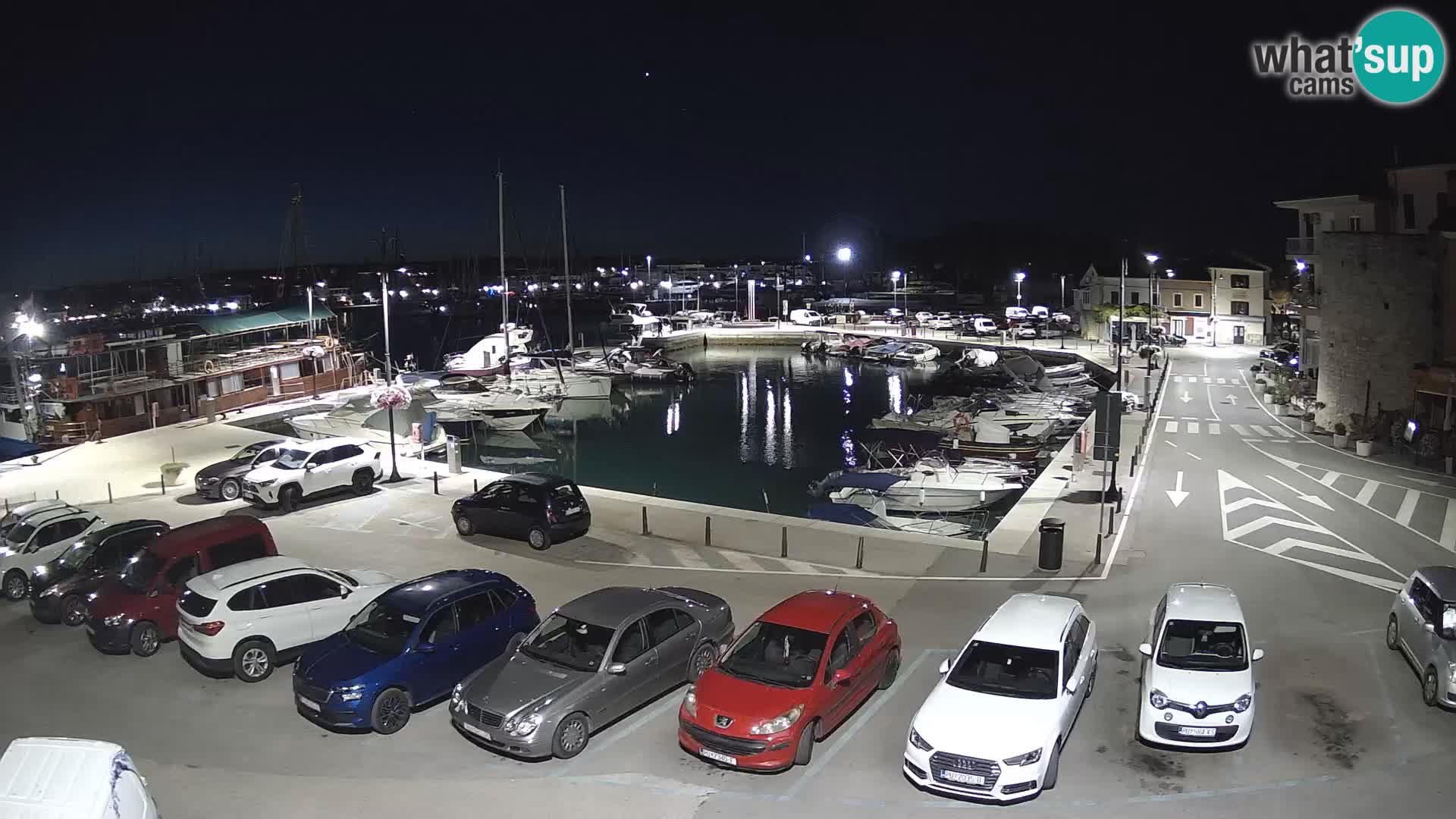 Novigrad | Porporela marina