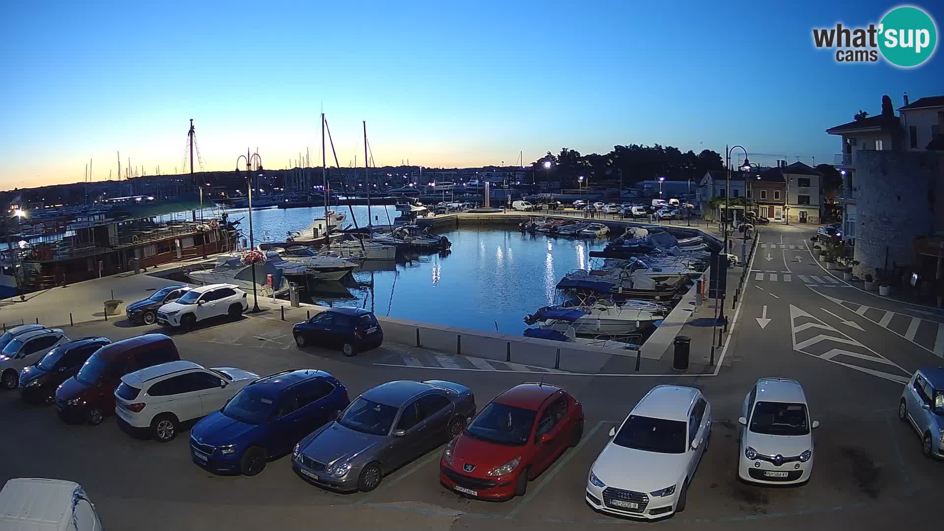 Novigrad | Porporela marina