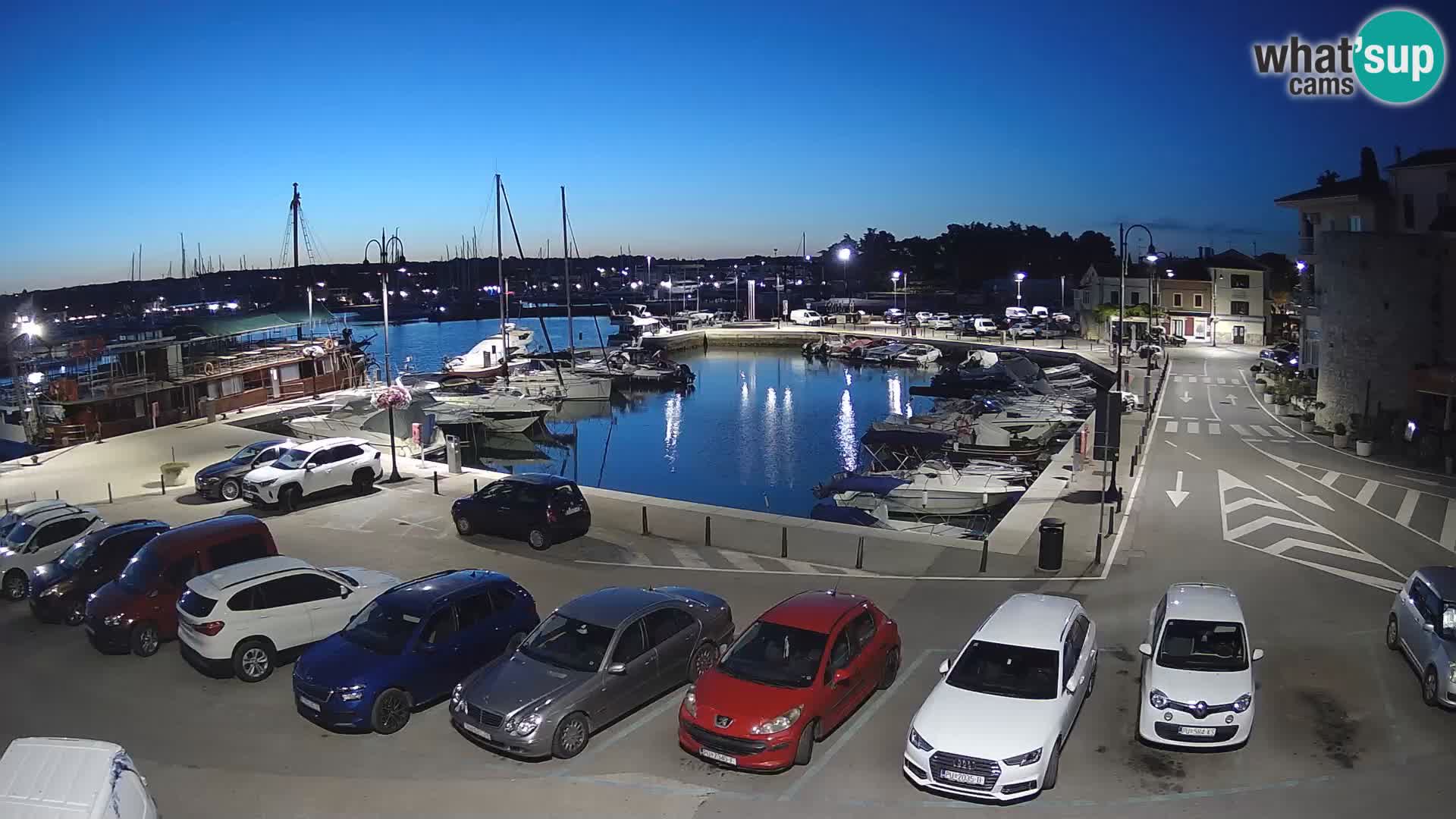 Novigrad | Porporela marina