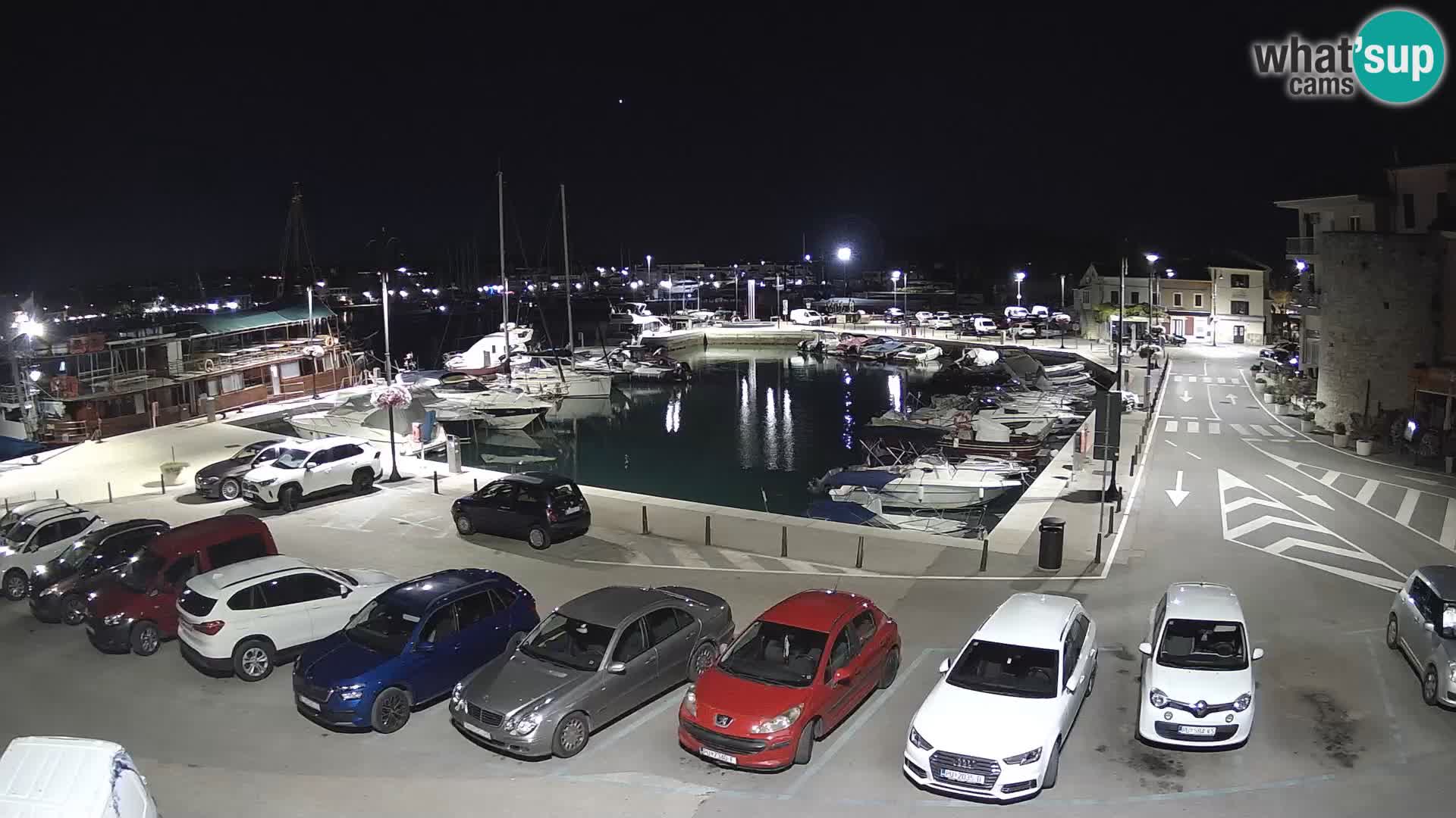 Novigrad | Porporela marina
