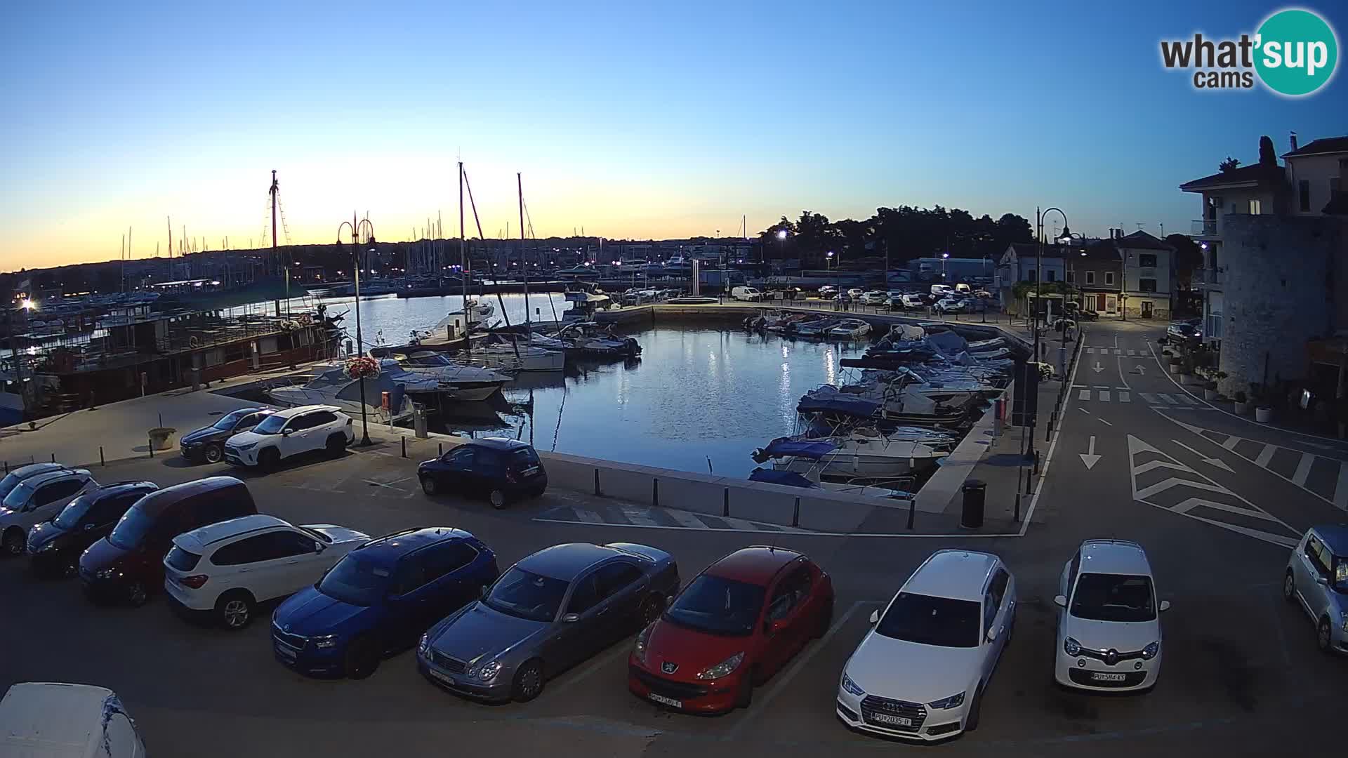 Novigrad | Porporela marina