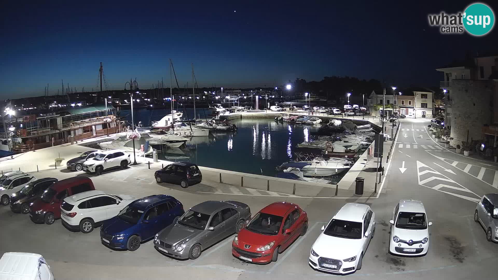 Novigrad | Porporela marina