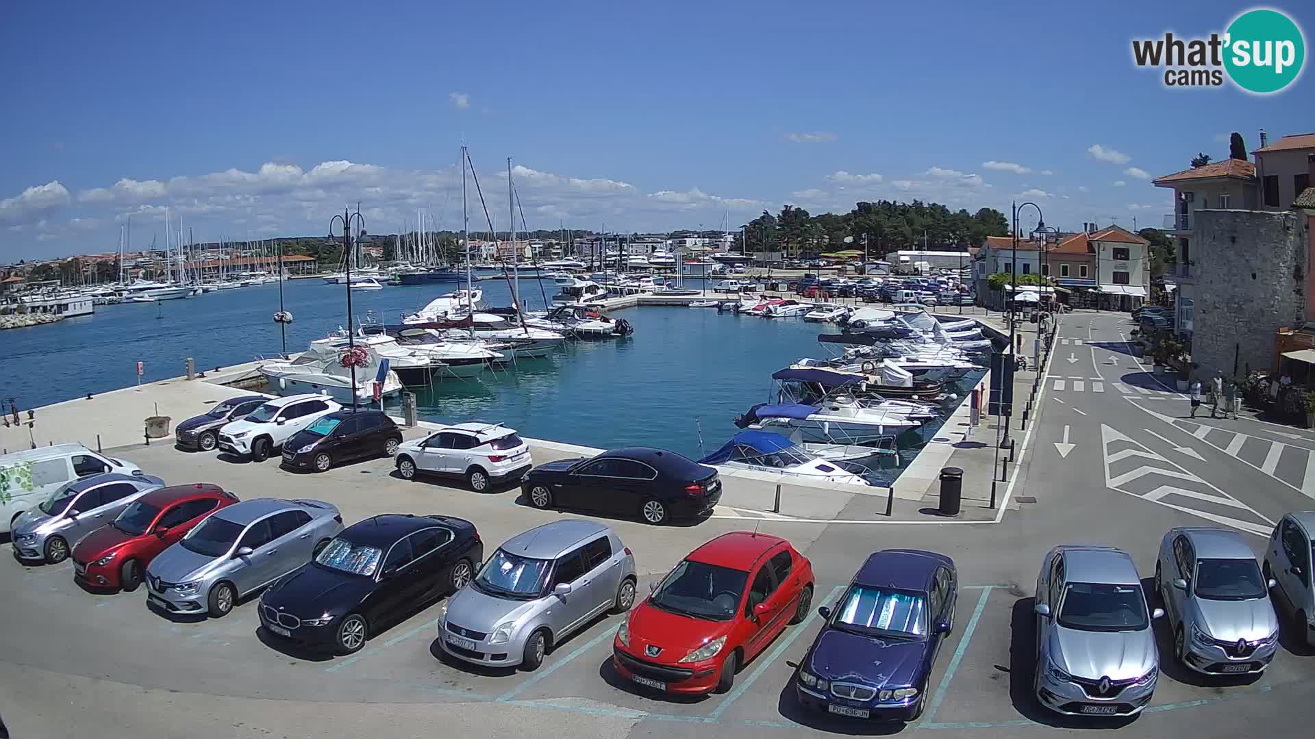 Novigrad | Porporela marina
