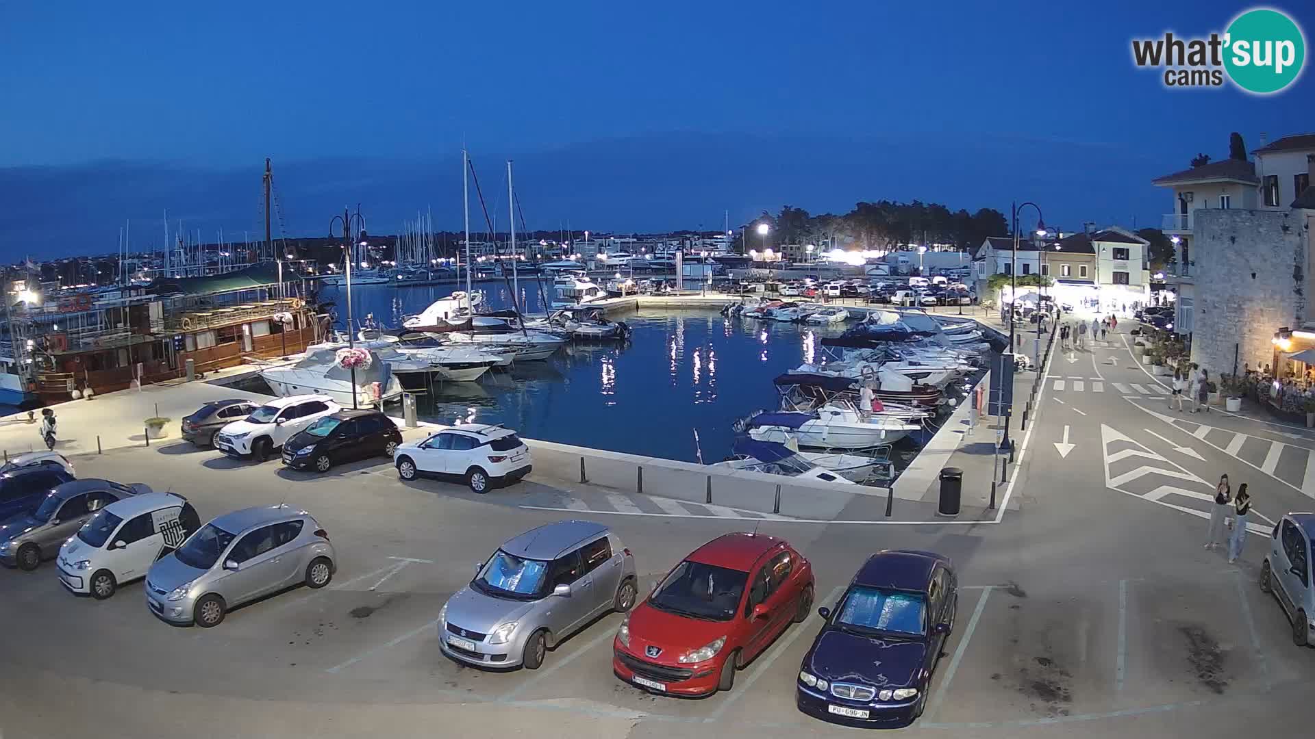Novigrad | Porporela marina