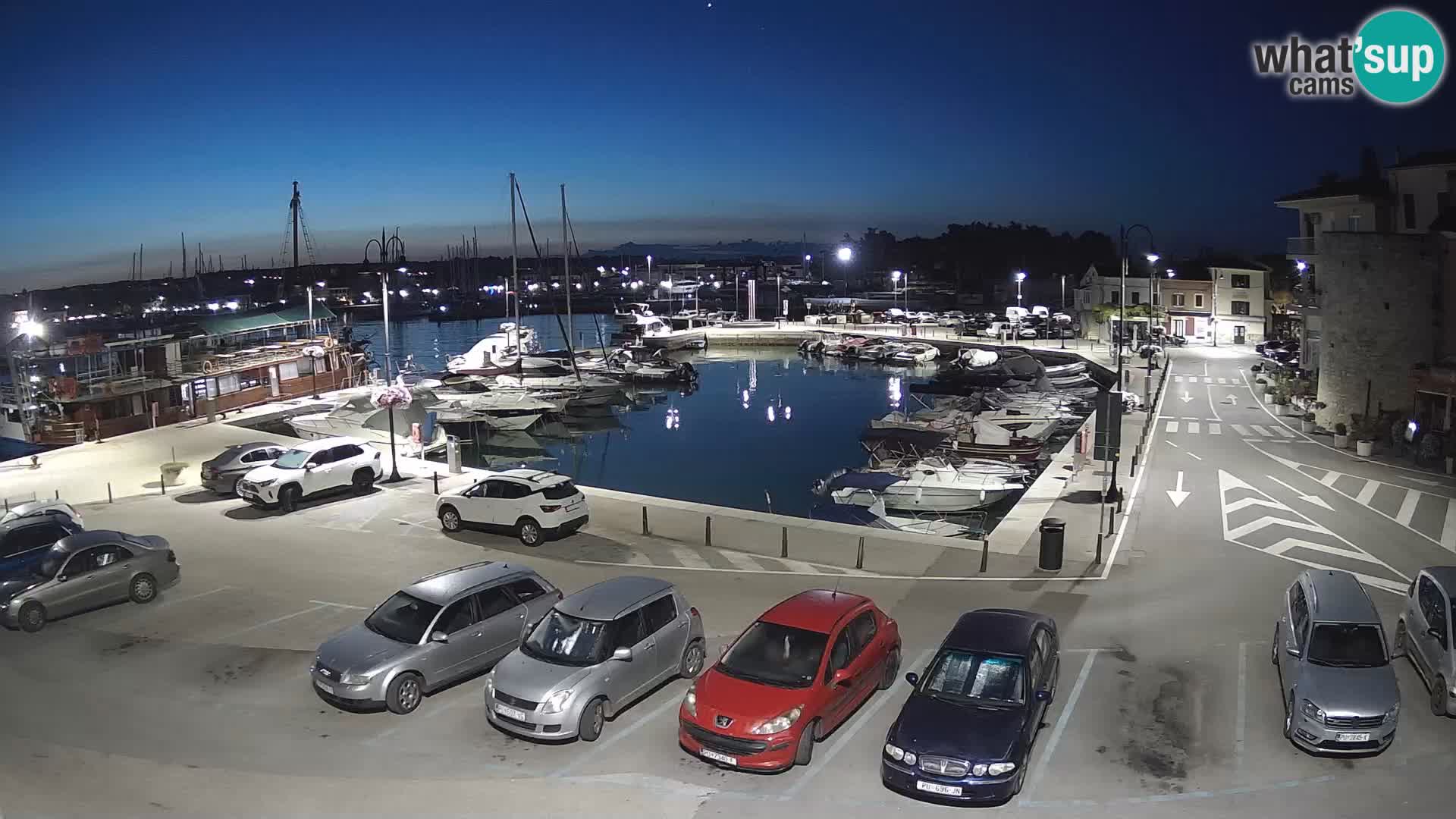 Novigrad | Porporela marina