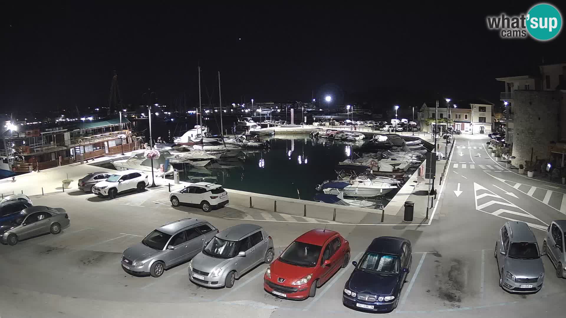 Novigrad | Porporela marina