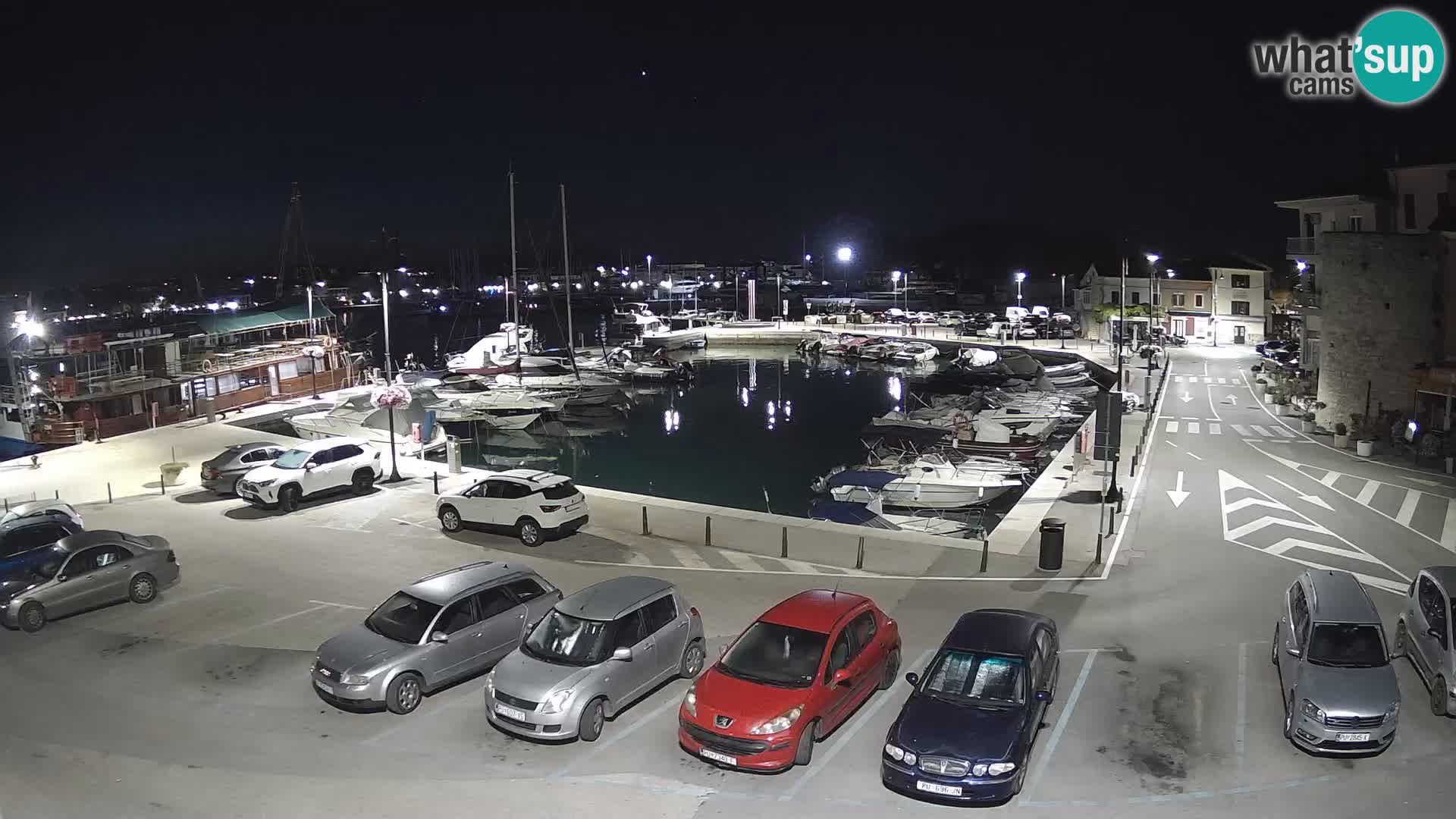 Novigrad | Porporela marina