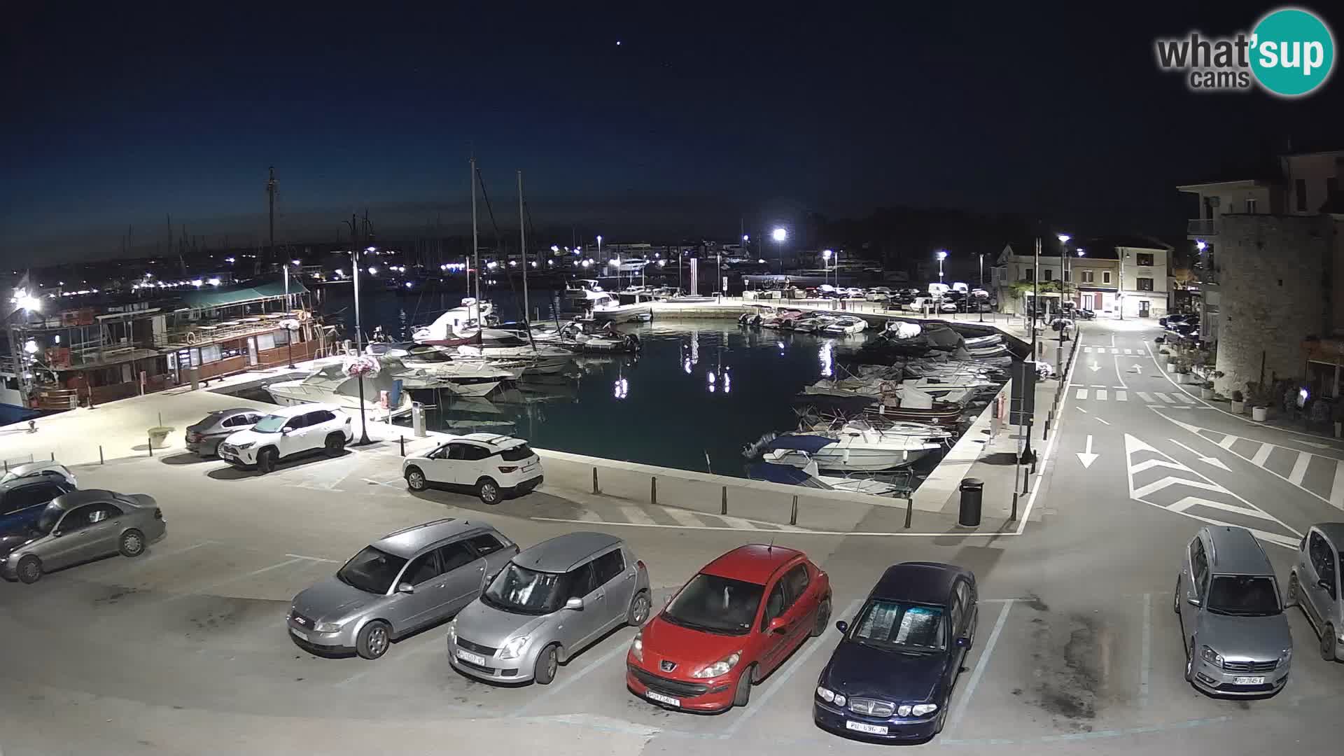 Novigrad | Porporela marina