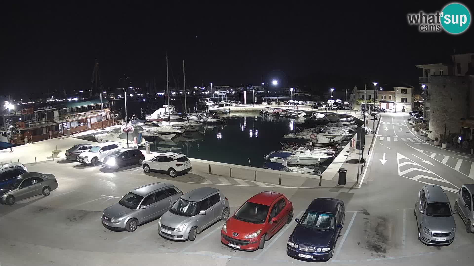 Novigrad | Porporela marina