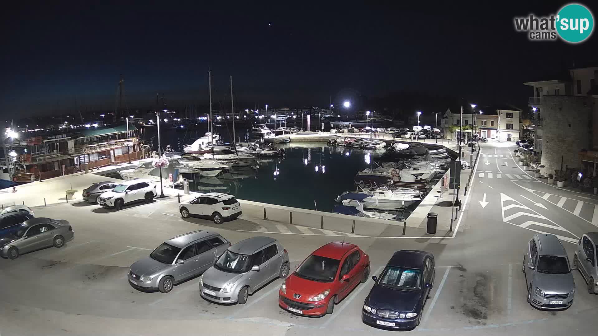 Novigrad | Porporela marina