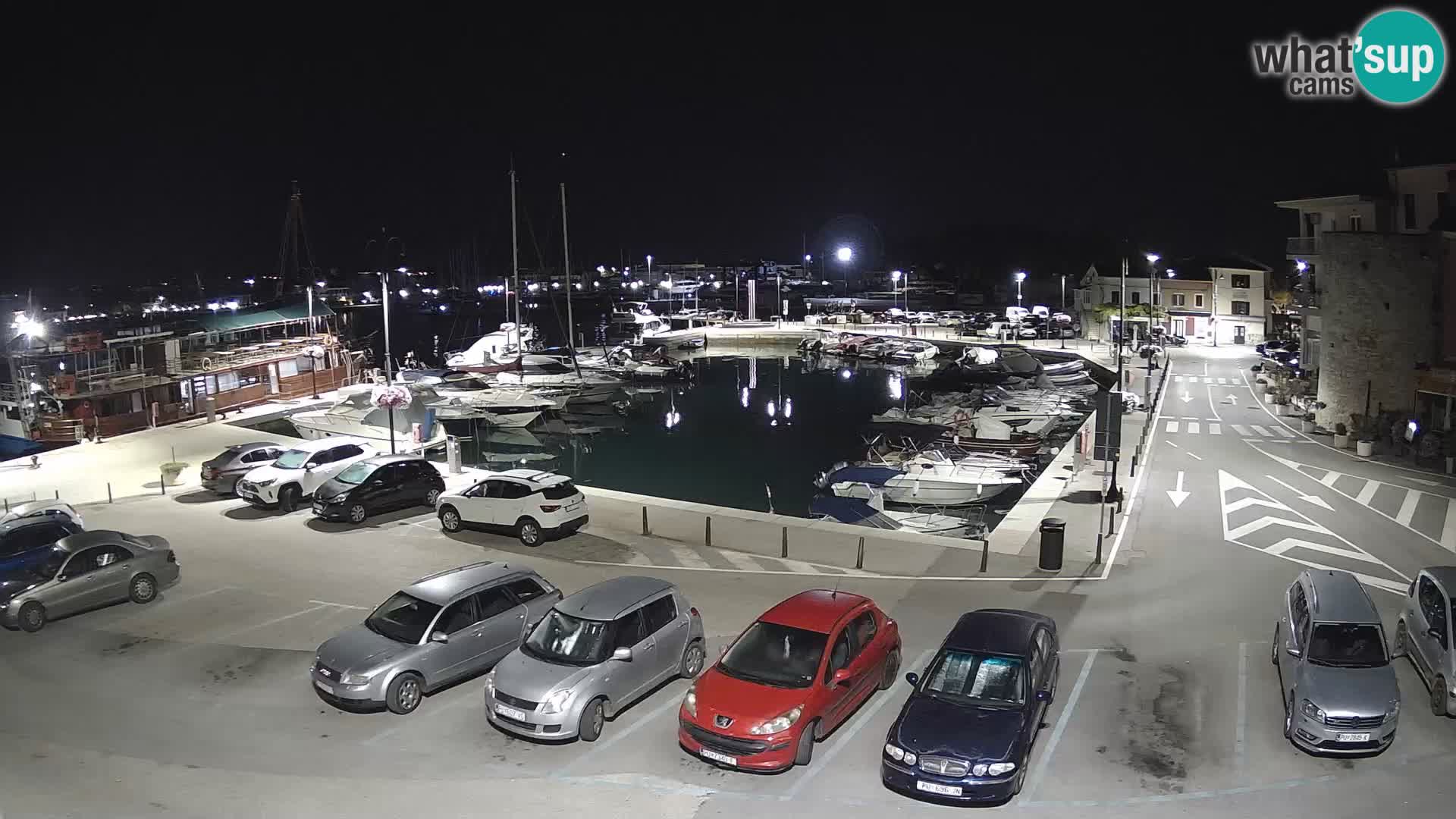 Novigrad | Porporela marina