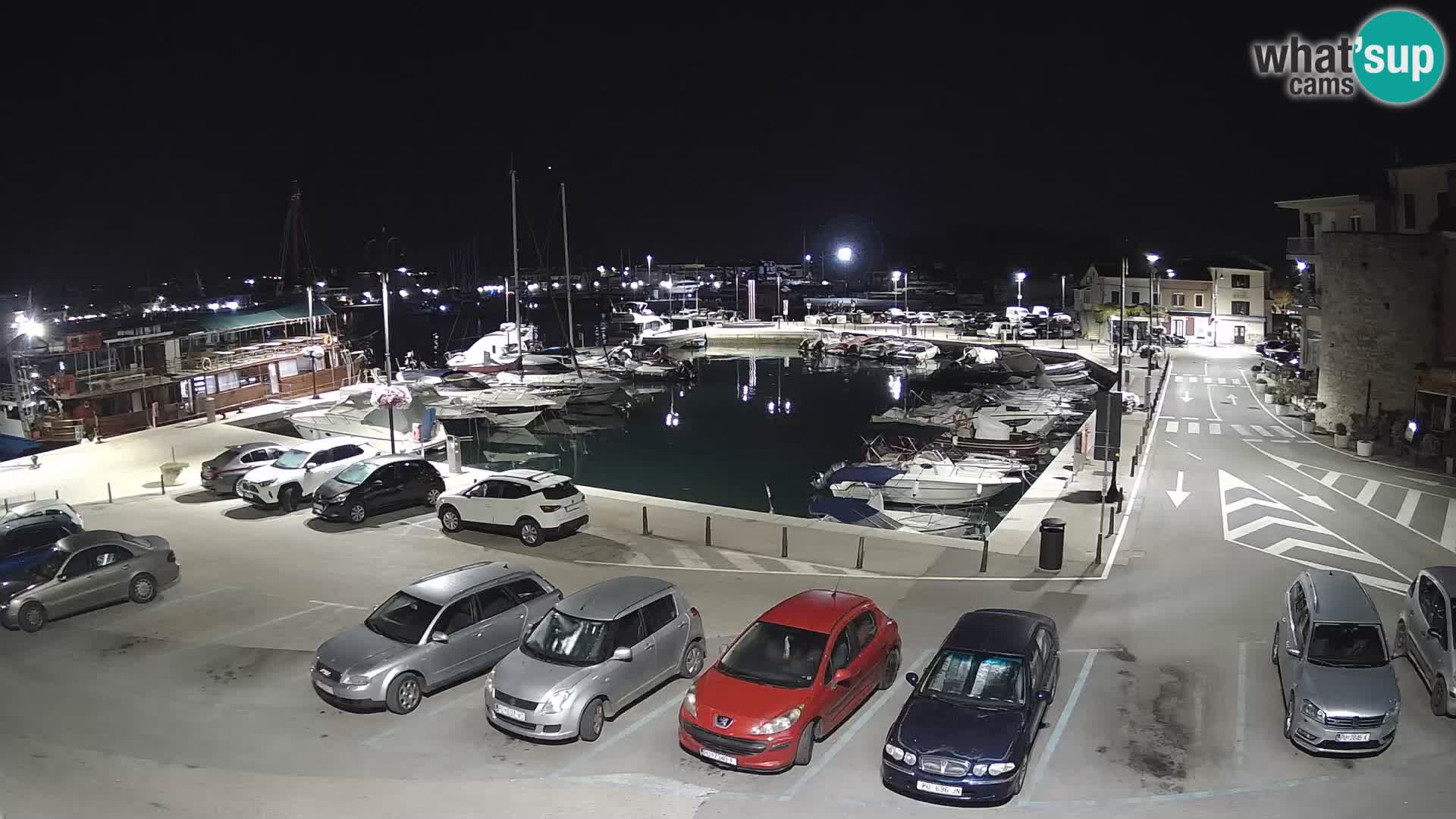 Novigrad | Porporela marina