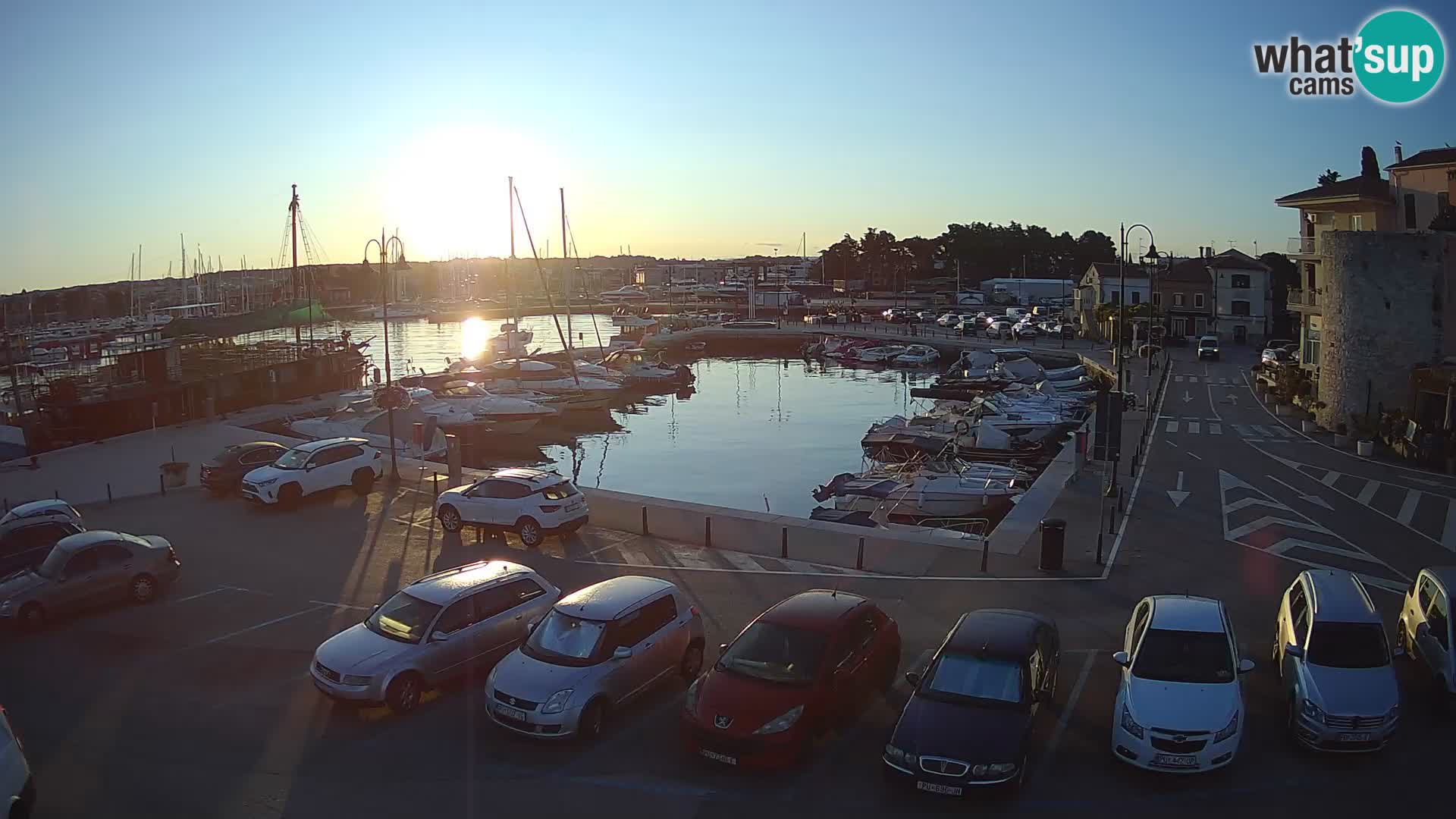 Novigrad | Porporela marina