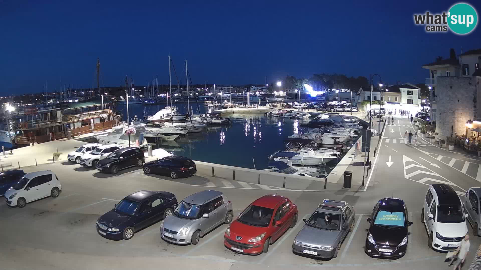 Novigrad | Porporela marina