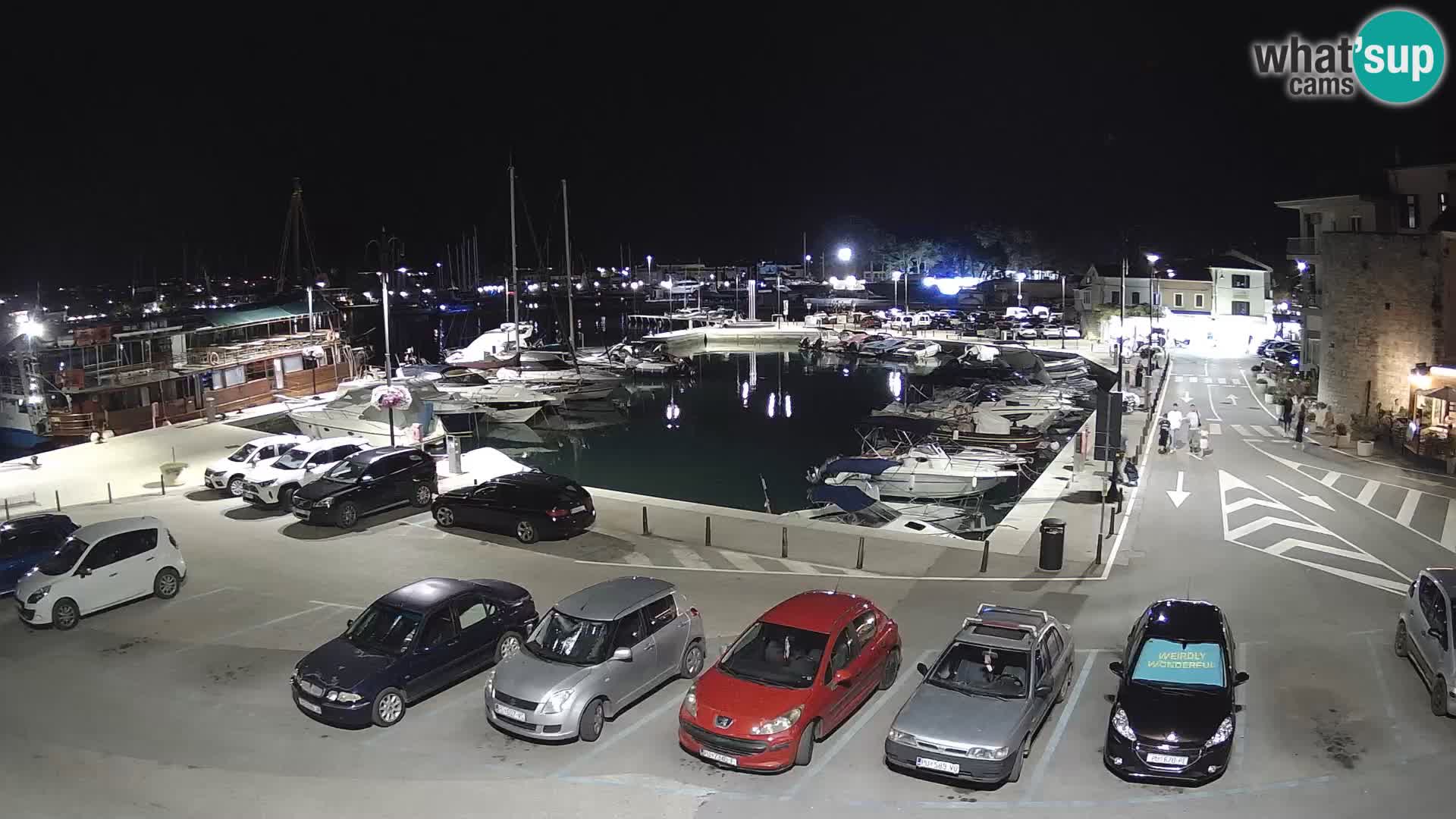 Novigrad | Porporela marina