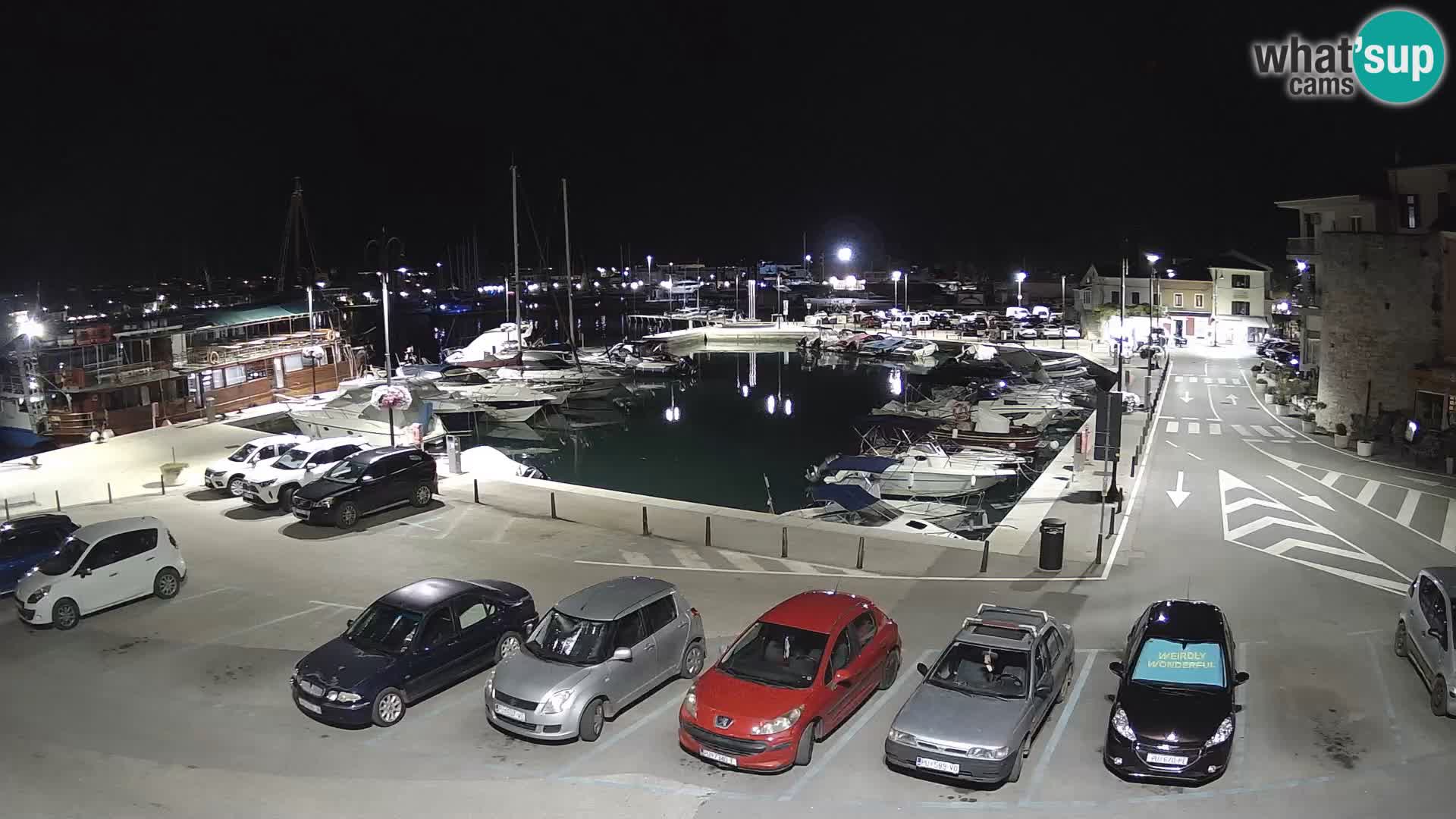 Novigrad | Porporela marina