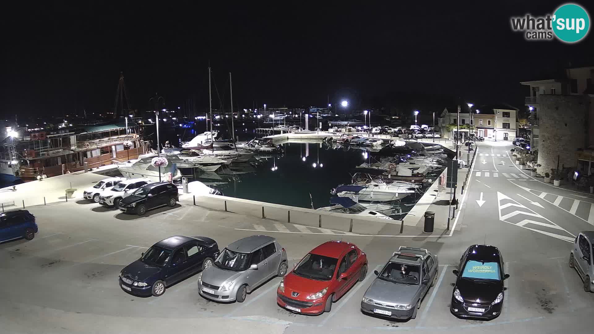 Novigrad | Porporela marina