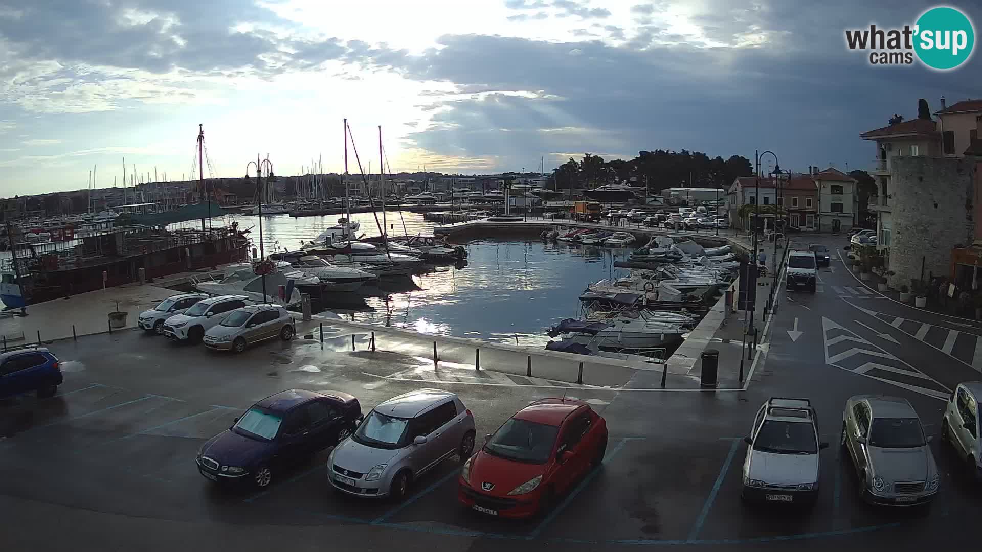 Novigrad | Porporela marina