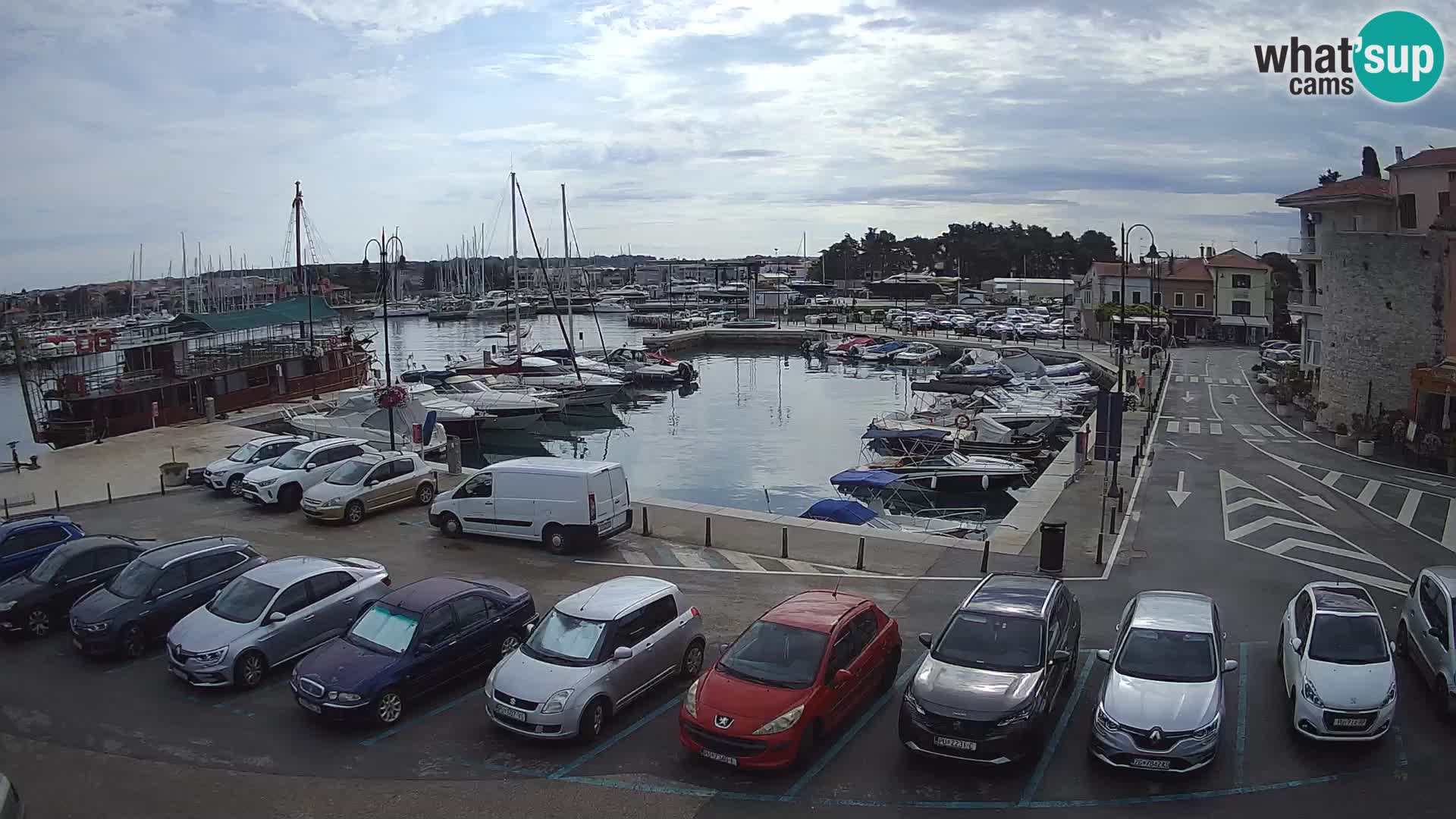 Novigrad | Porporela marina