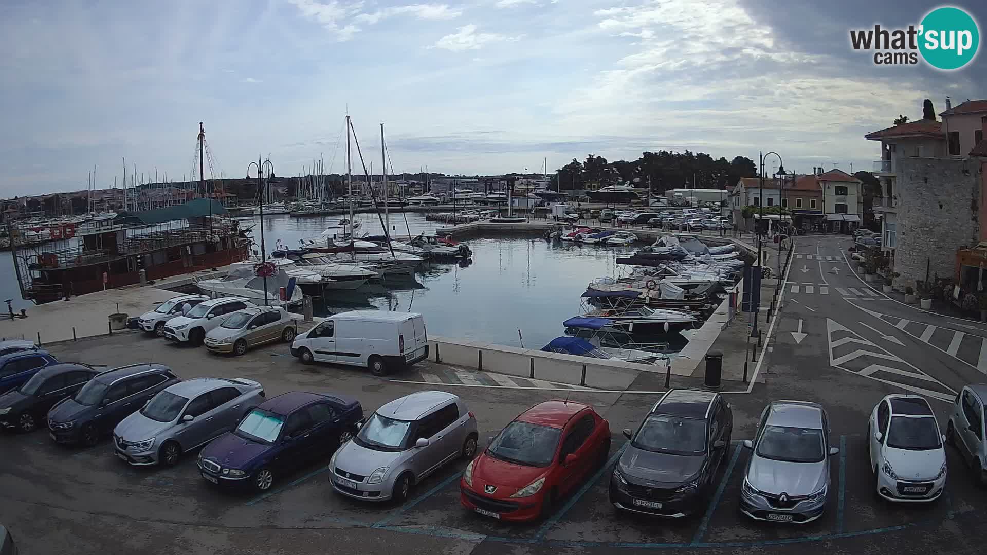 Novigrad | Porporela marina