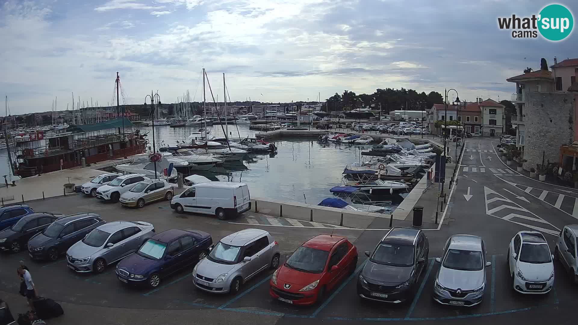 Novigrad | Porporela marina